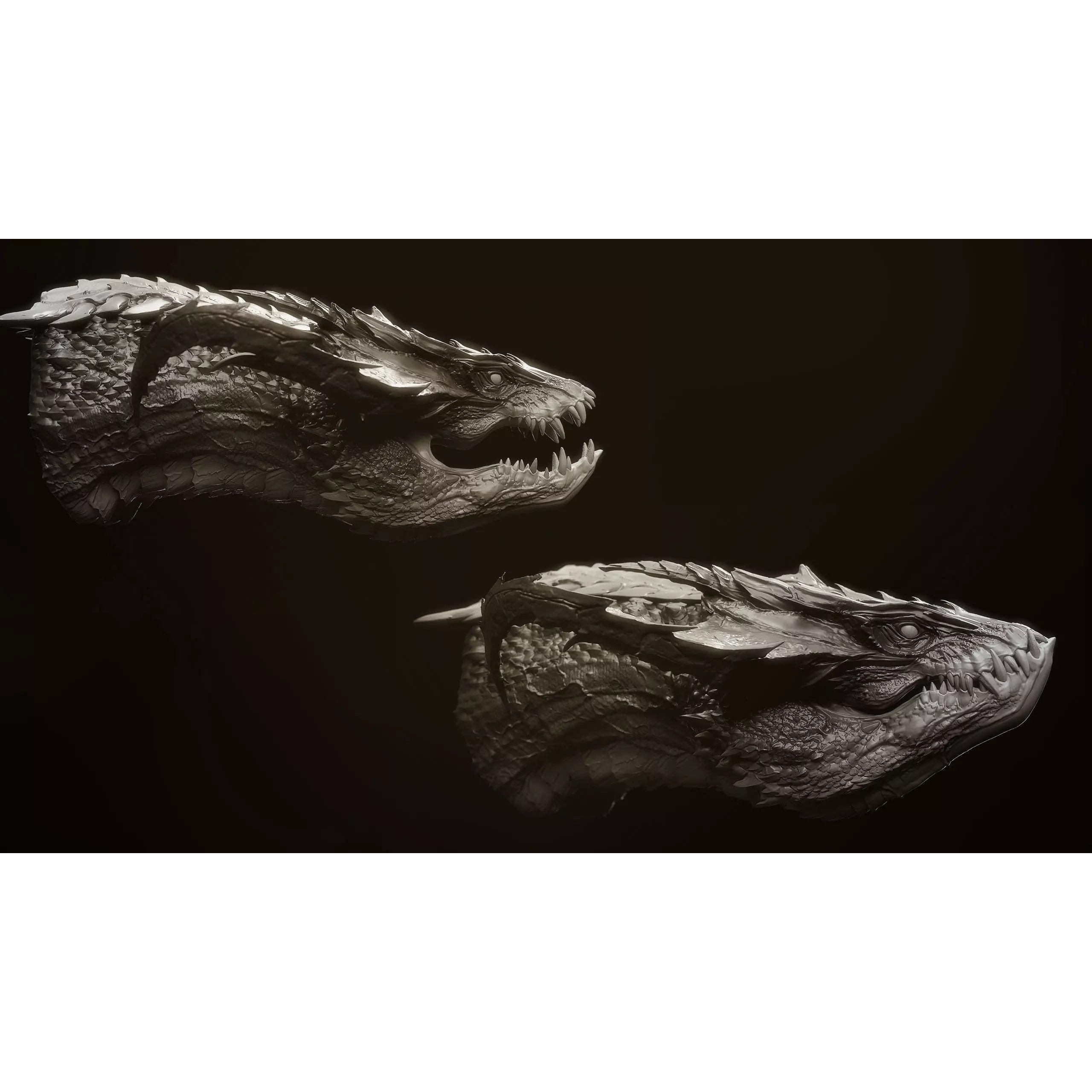 Dragon Heads Volume 1 - High-Poly 3D Model - View 5