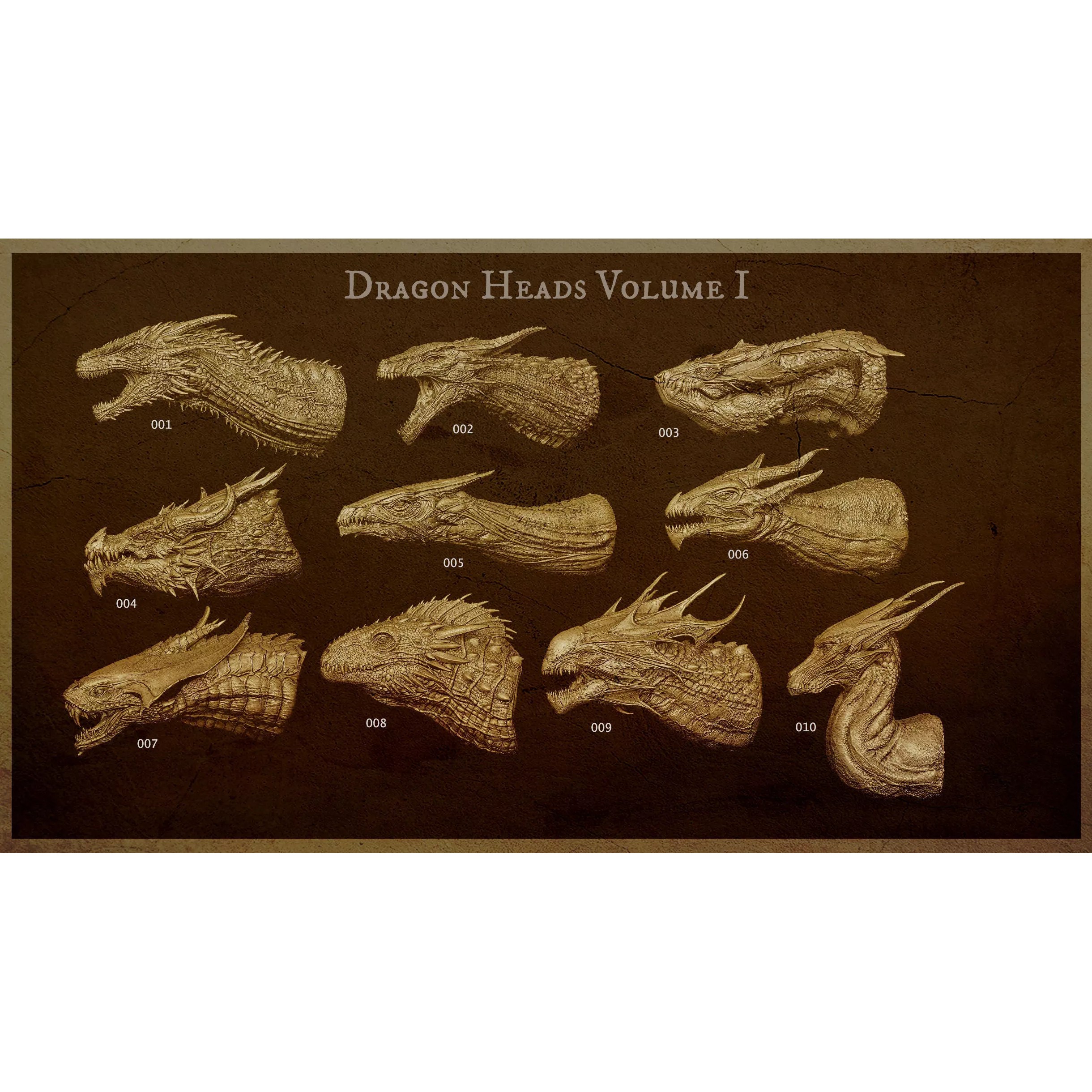 Dragon Heads Volume 1 - High-Poly 3D Model - View 7