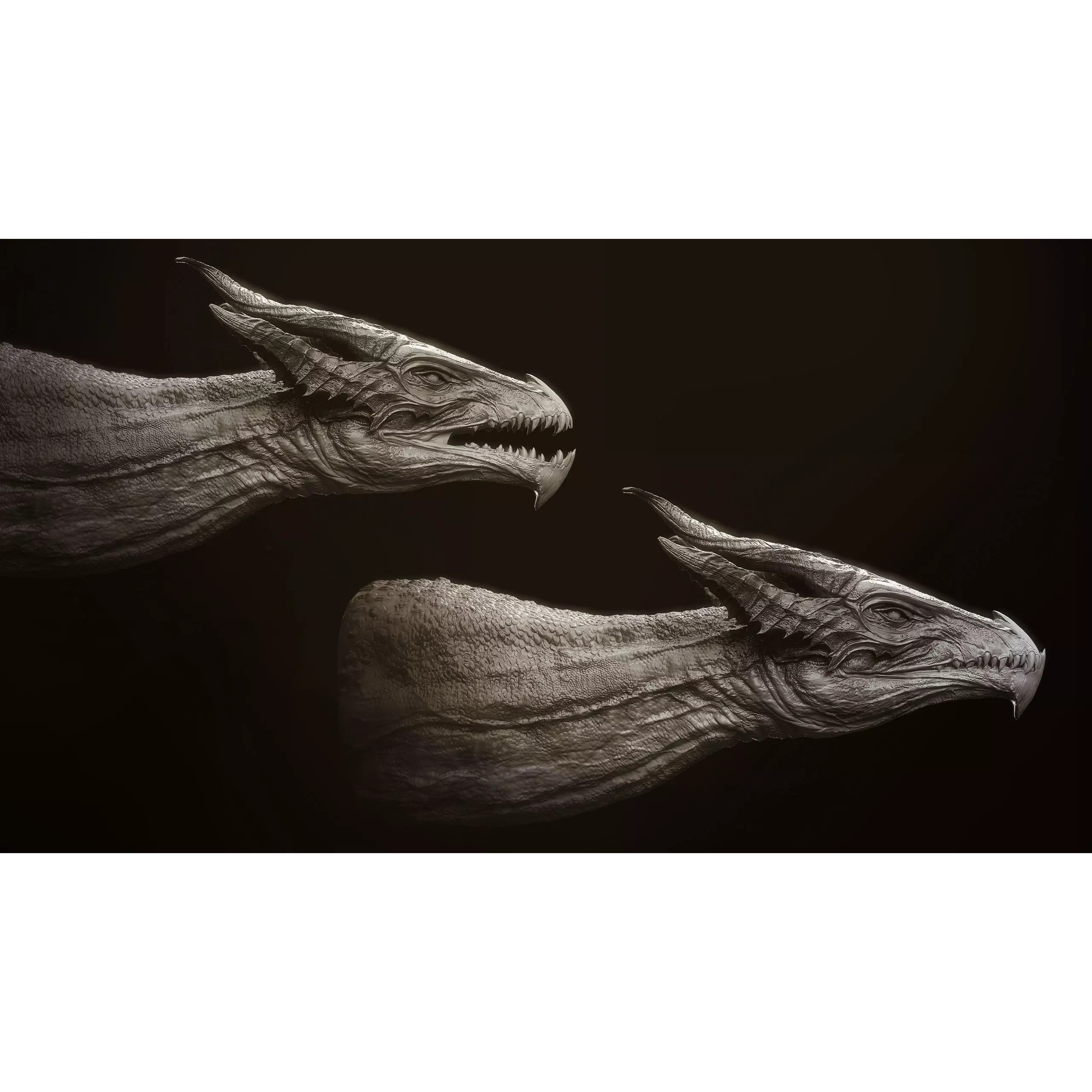 Dragon Heads Volume 1 - High-Poly 3D Model - View 9