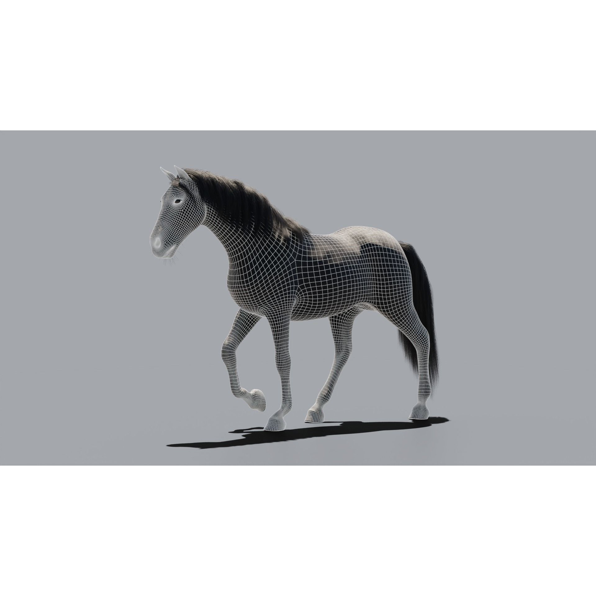 Black Horse - Game-Ready 3D Model - View 10
