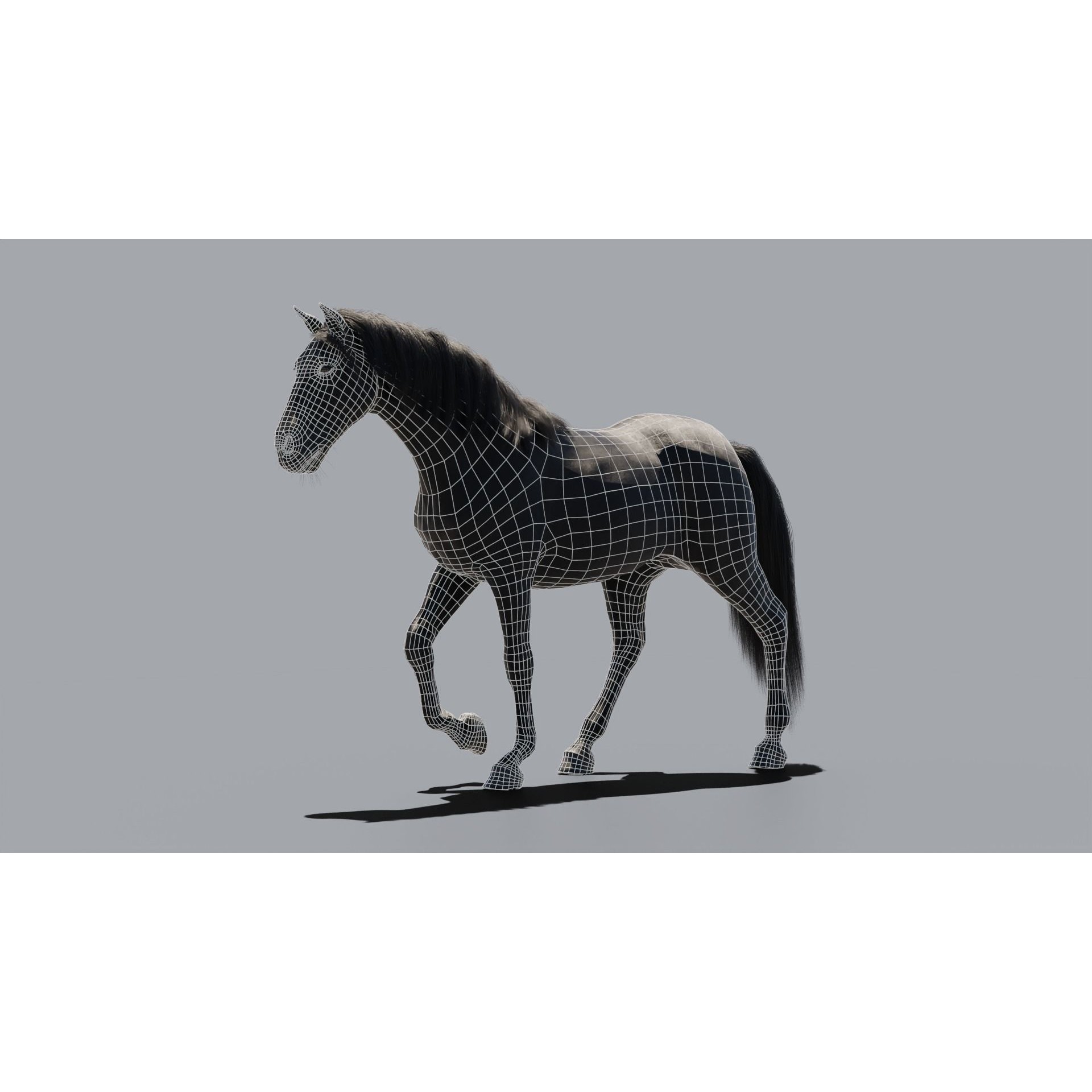 Black Horse - Game-Ready 3D Model - View 11