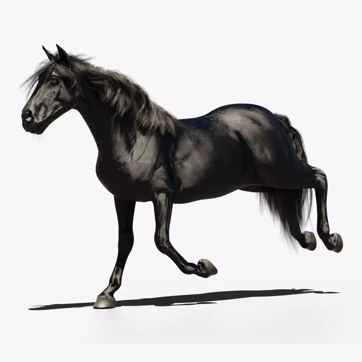Black Horse - Game-Ready 3D Model - View 2