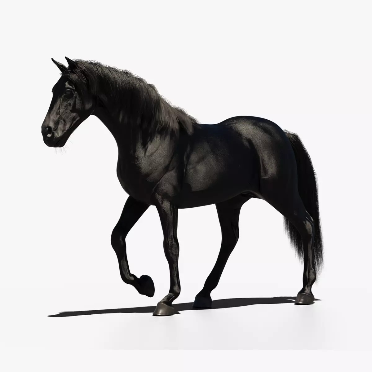 Black Horse - Game-Ready 3D Model - View 3