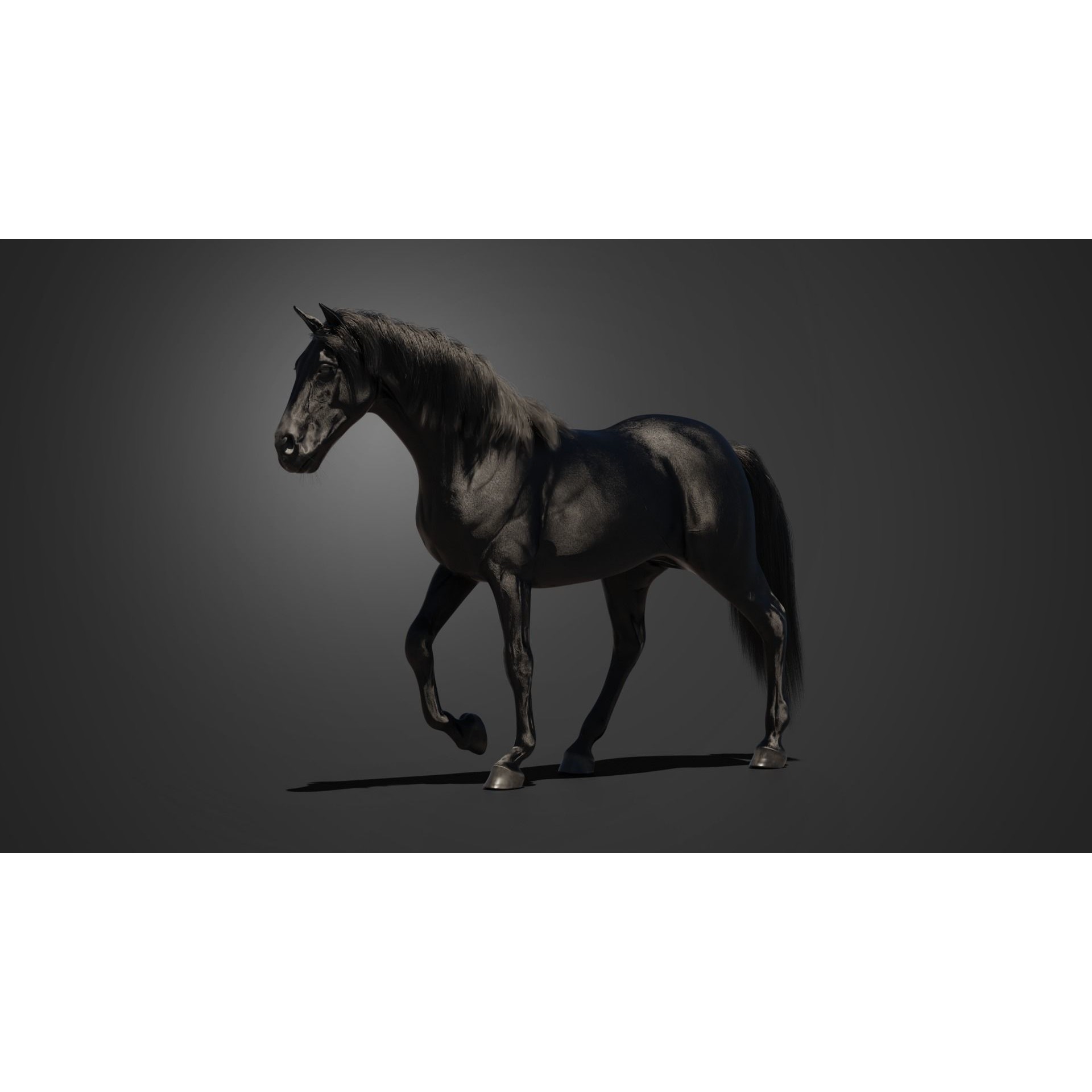 Black Horse - Game-Ready 3D Model - View 4