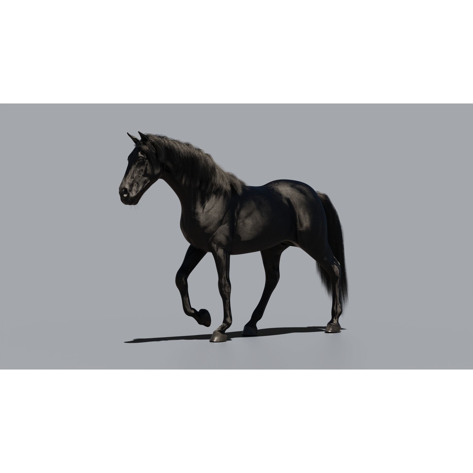Black Horse - Game-Ready 3D Model - View 5