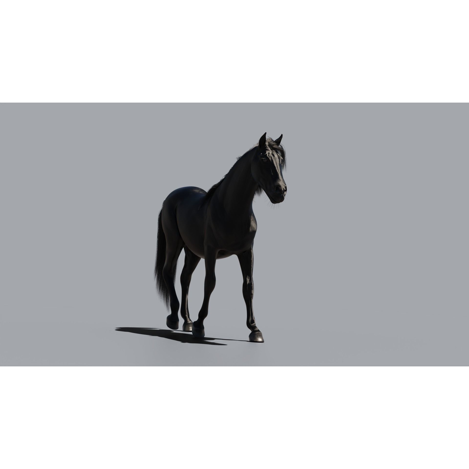 Black Horse - Game-Ready 3D Model - View 6
