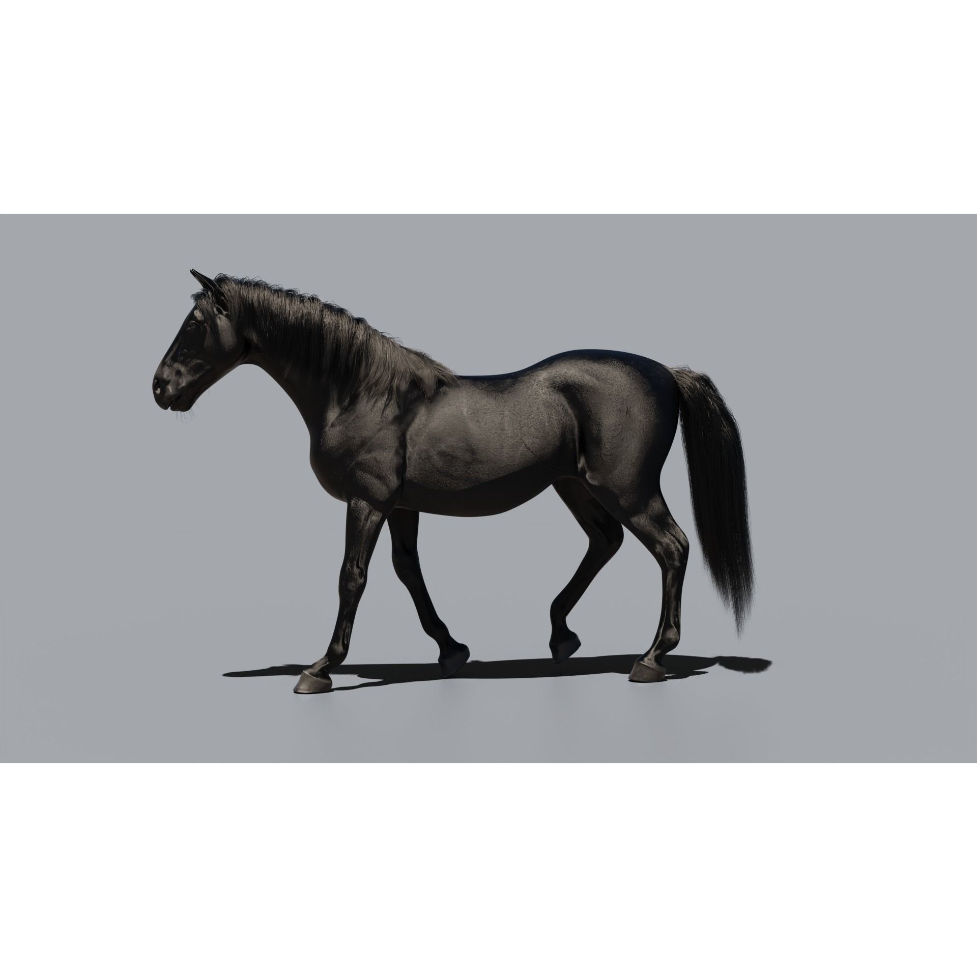 Black Horse - Game-Ready 3D Model - View 7