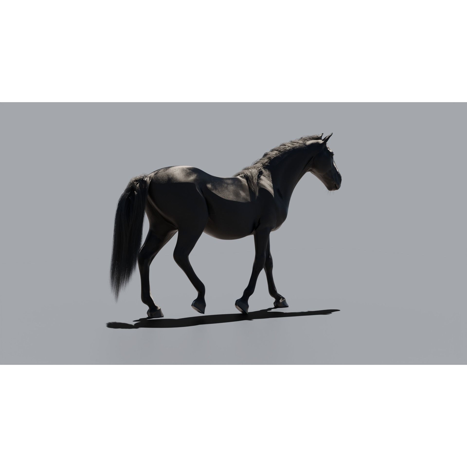 Black Horse - Game-Ready 3D Model - View 8