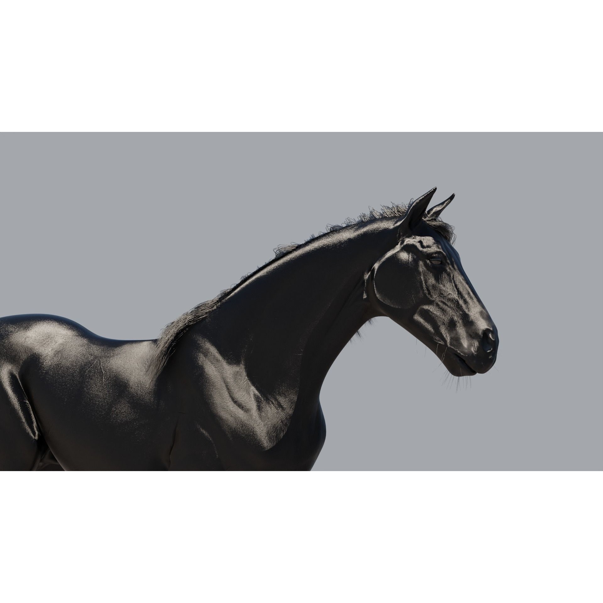 Black Horse - Game-Ready 3D Model - View 9
