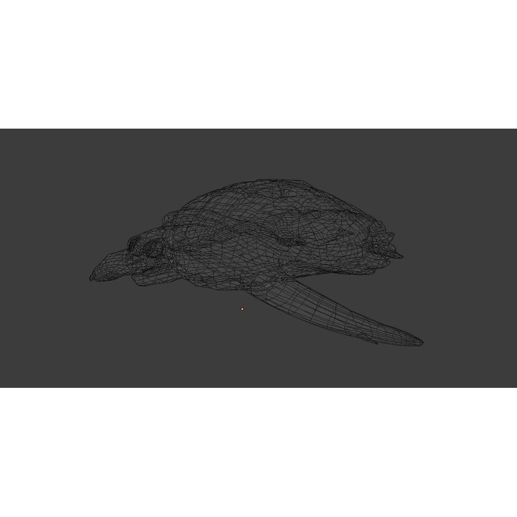 Sea Turtle - Low-Poly Game-Ready 3D Model - View 17