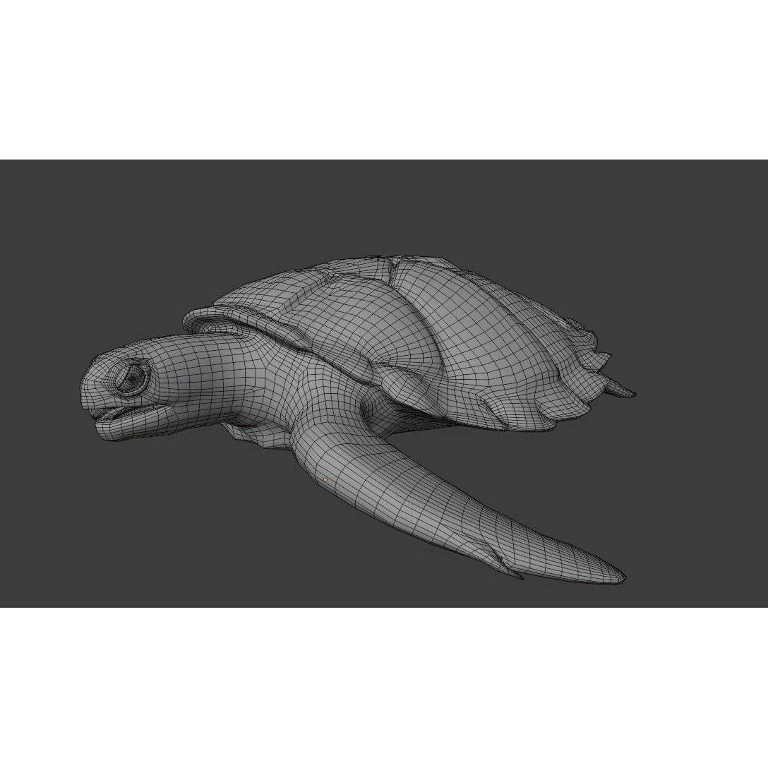 Sea Turtle - Low-Poly Game-Ready 3D Model - View 19