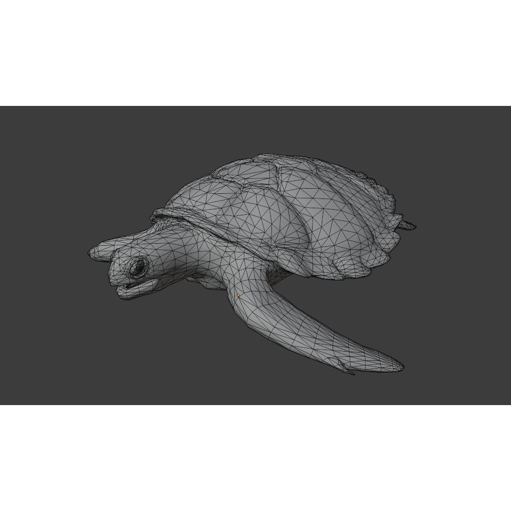 Sea Turtle - Low-Poly Game-Ready 3D Model - View 24
