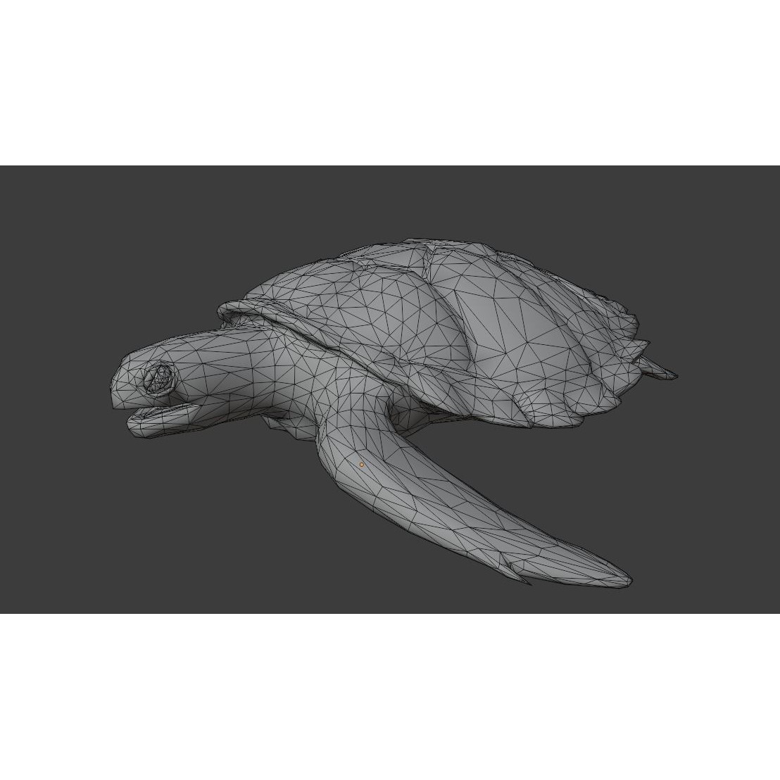 Sea Turtle - Low-Poly Game-Ready 3D Model - View 25