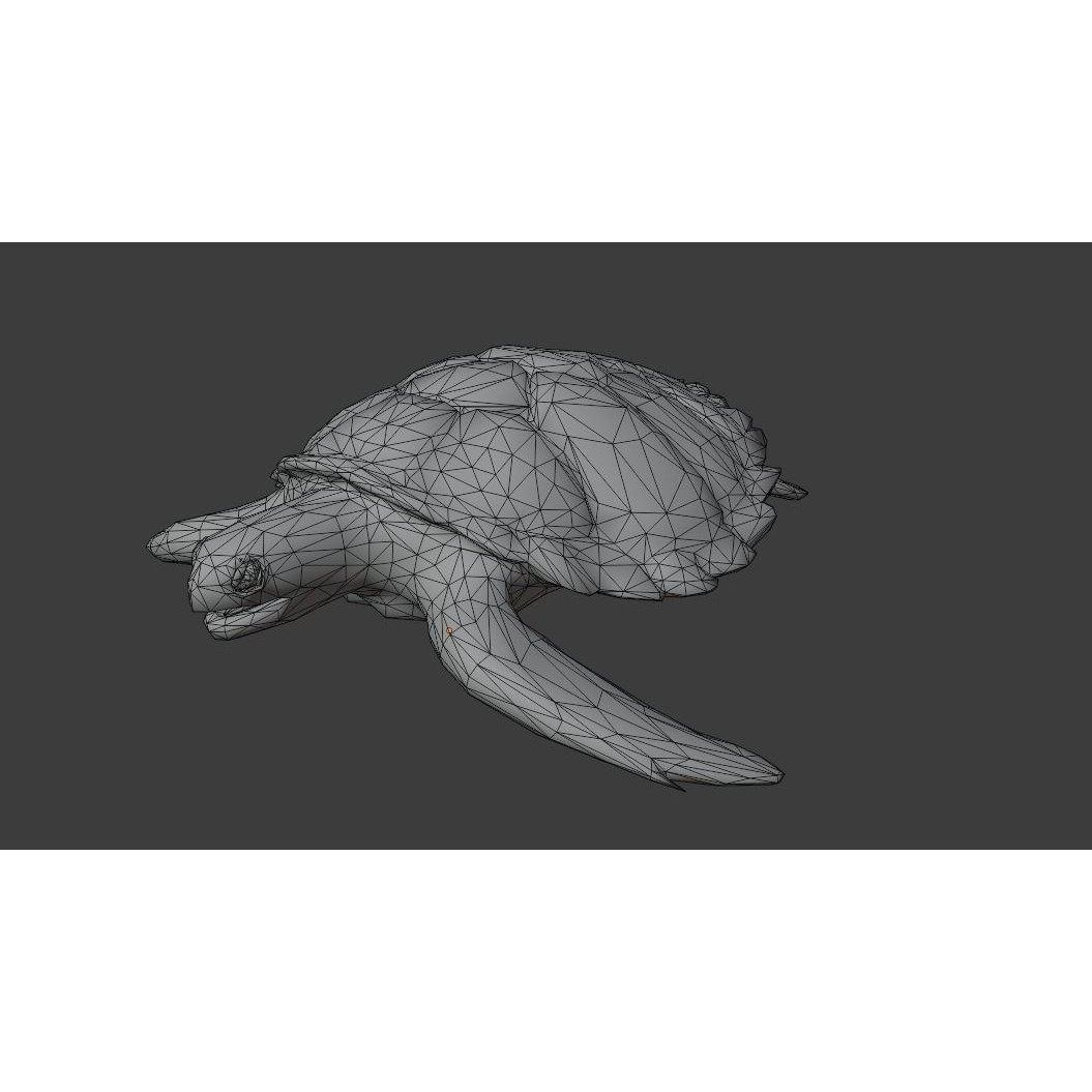 Sea Turtle - Low-Poly Game-Ready 3D Model - View 27