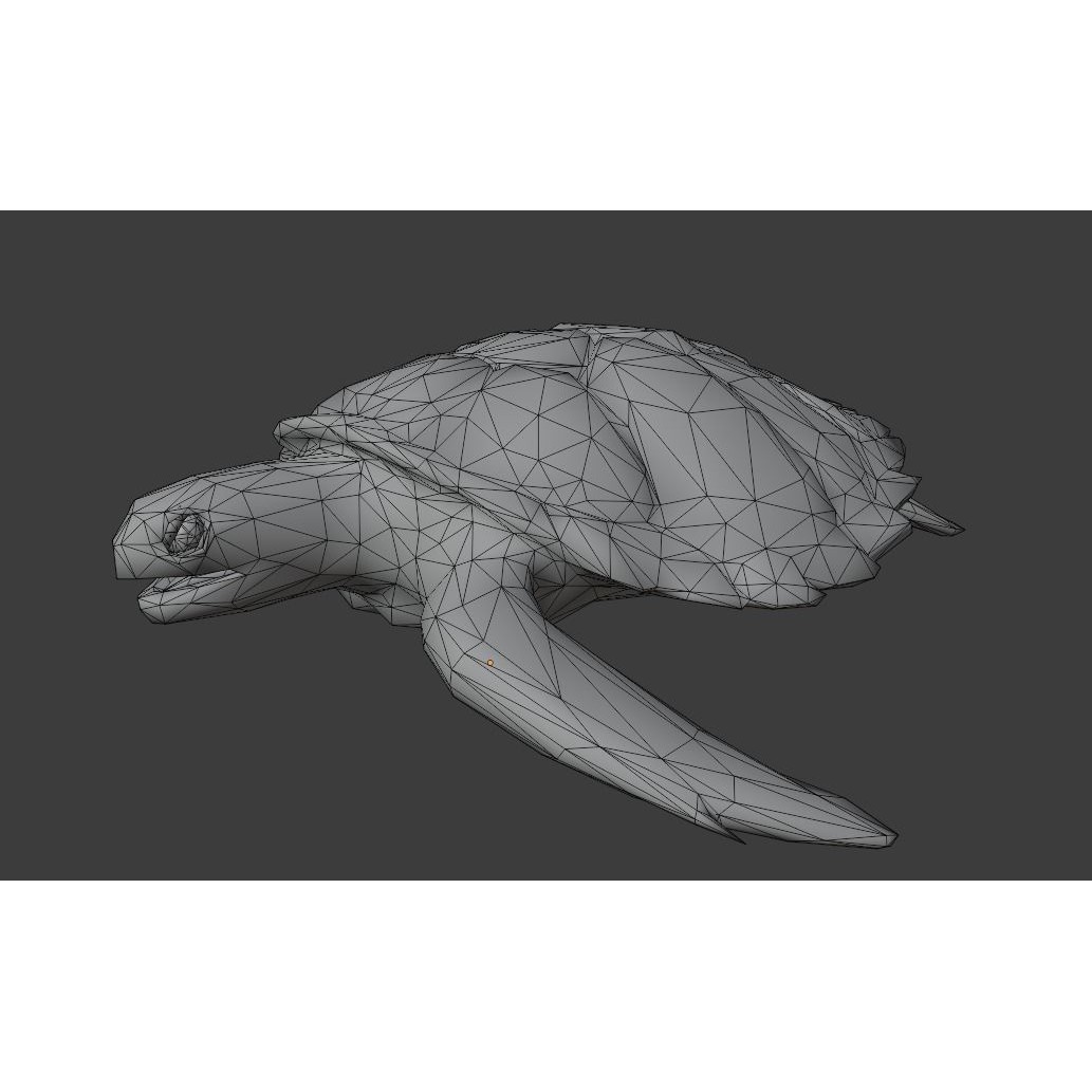 Sea Turtle - Low-Poly Game-Ready 3D Model - View 29