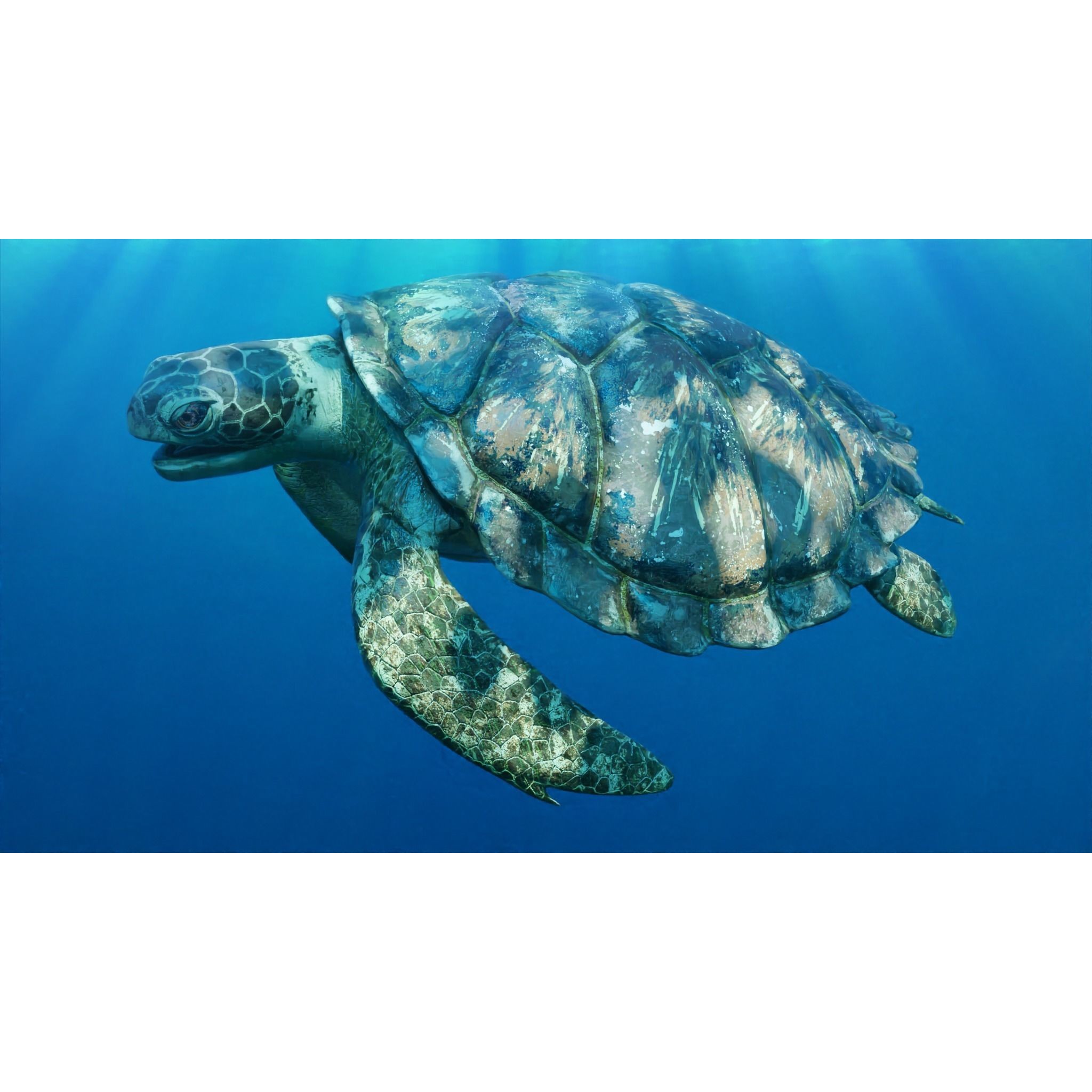 Sea Turtle - Low-Poly Game-Ready 3D Model - View 3