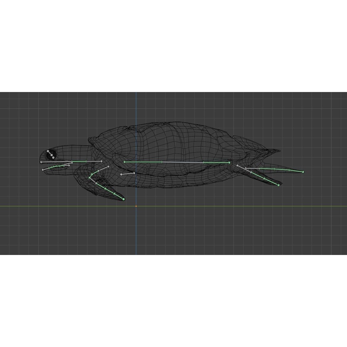 Sea Turtle - Low-Poly Game-Ready 3D Model - View 31