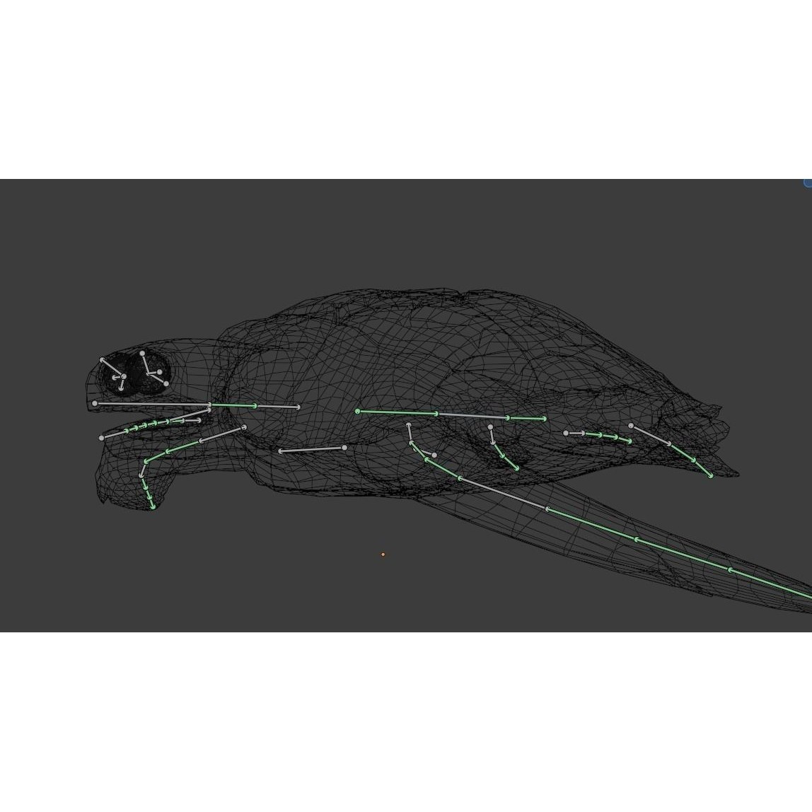 Sea Turtle - Low-Poly Game-Ready 3D Model - View 33