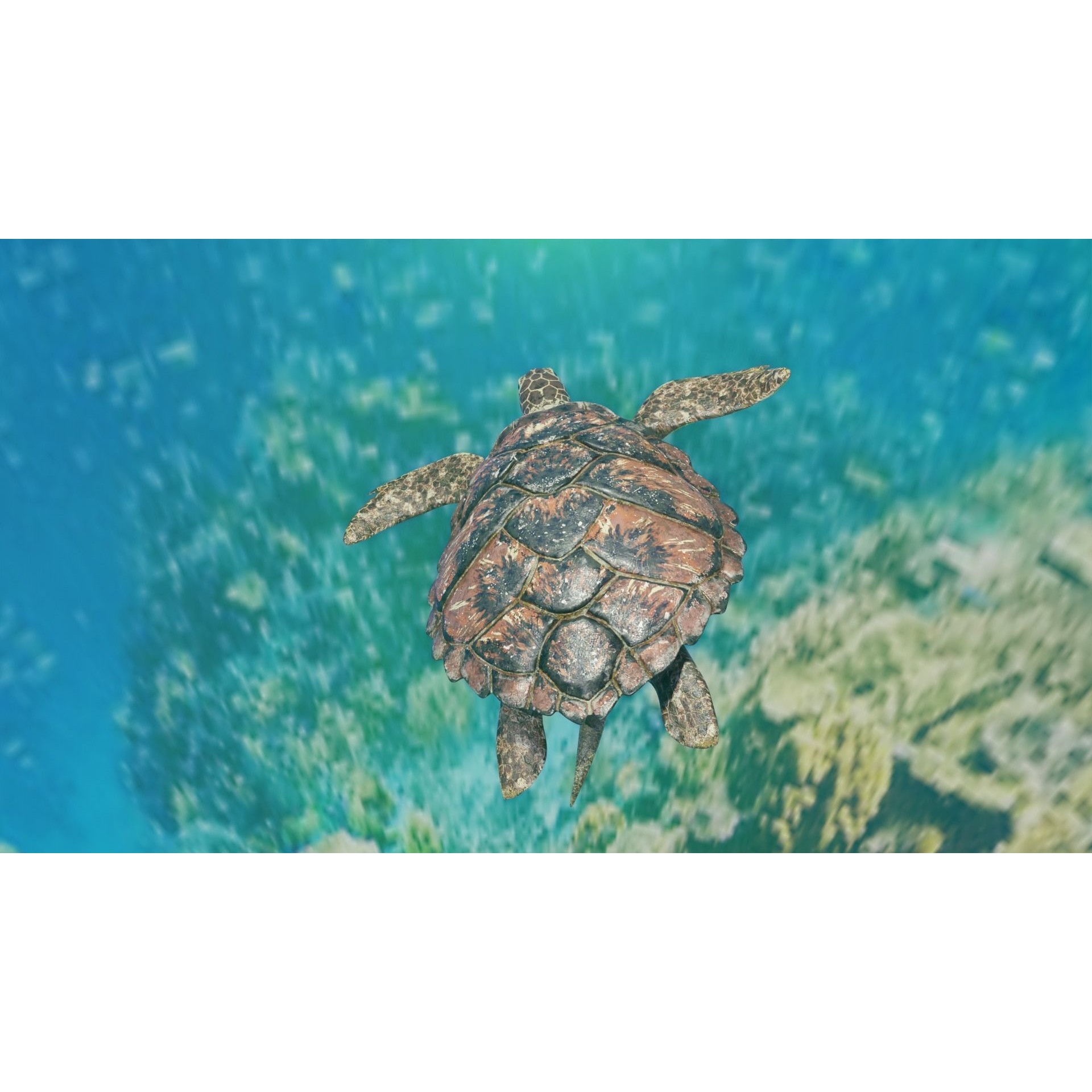 Sea Turtle - Low-Poly Game-Ready 3D Model - View 4