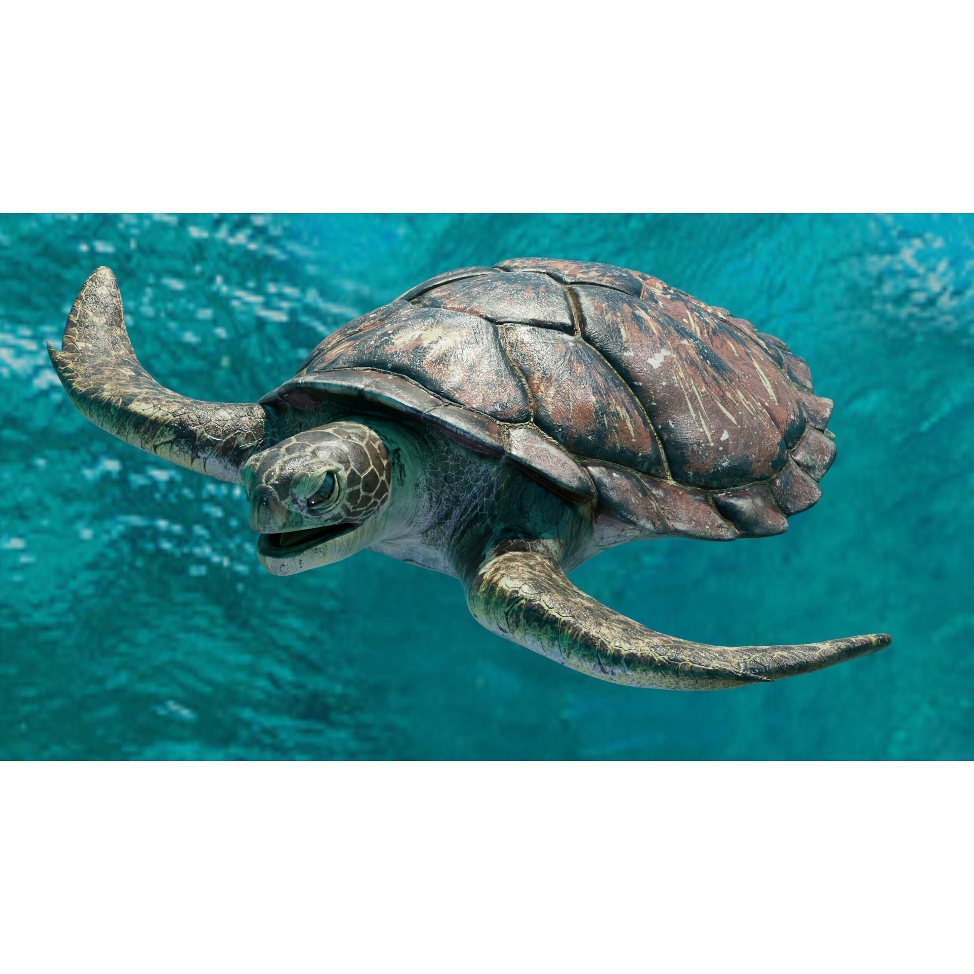 Sea Turtle - Low-Poly Game-Ready 3D Model - View 5
