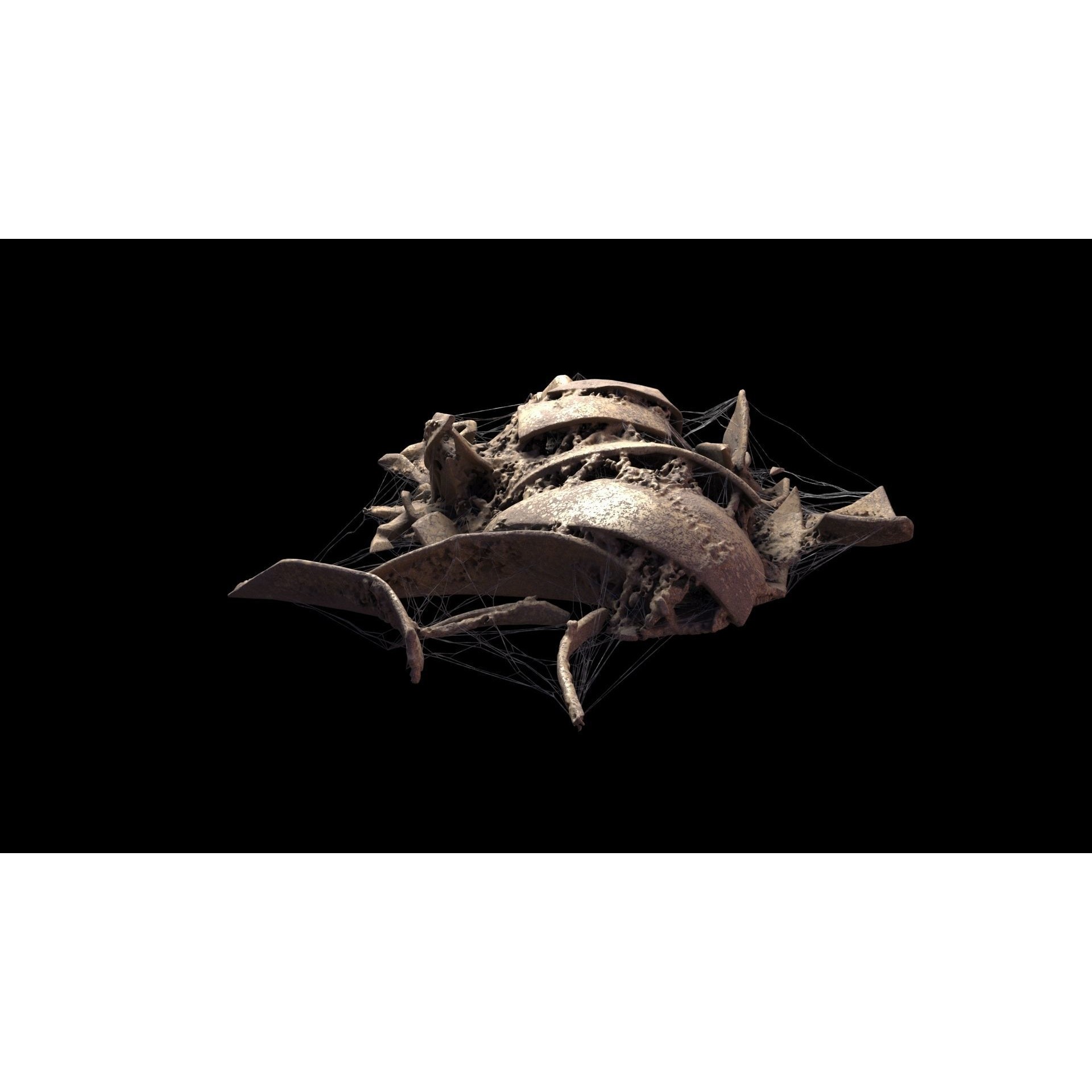 Broken Skulls with Spider Webs - Game-Ready 3D Model - View 15