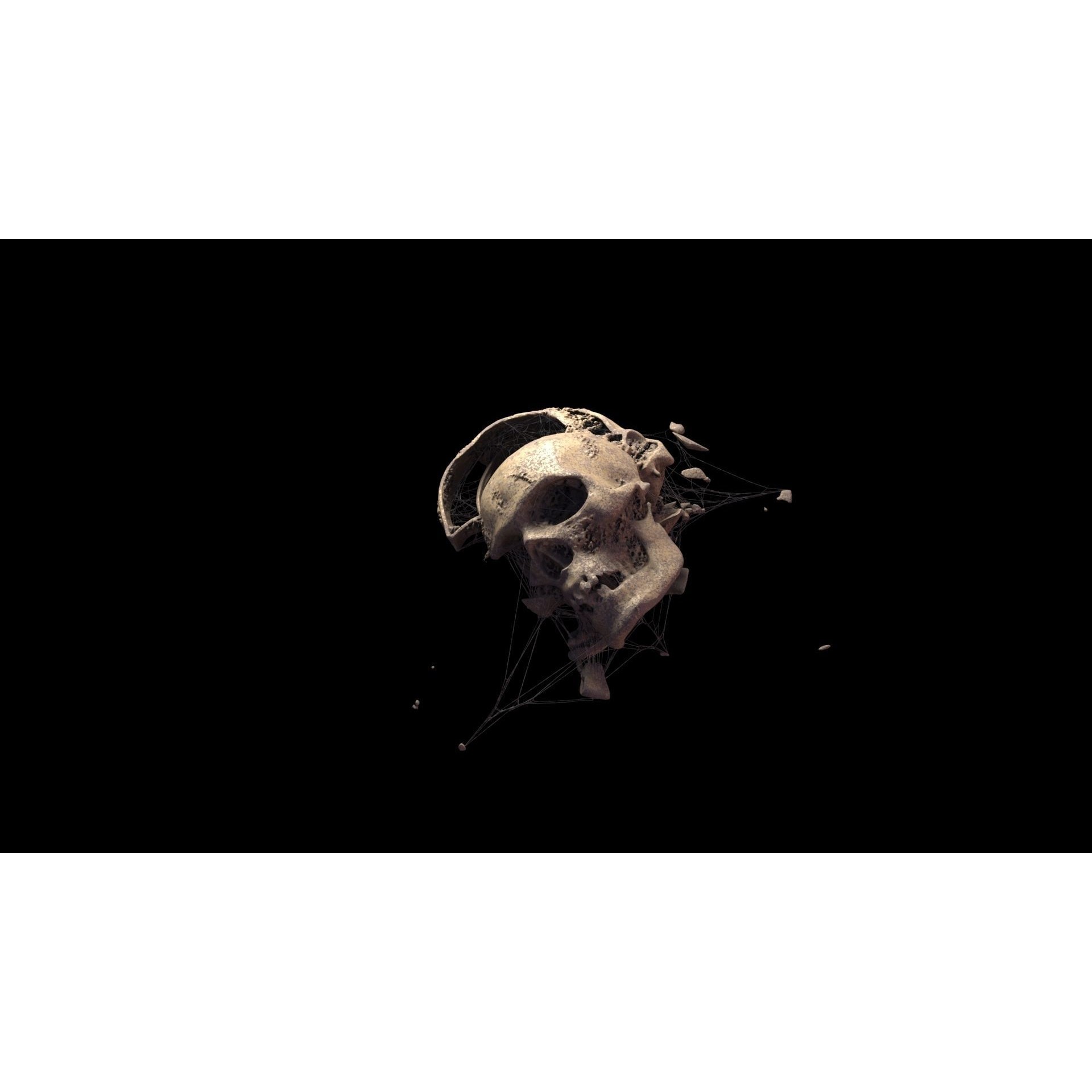 Broken Skulls with Spider Webs - Game-Ready 3D Model - View 18