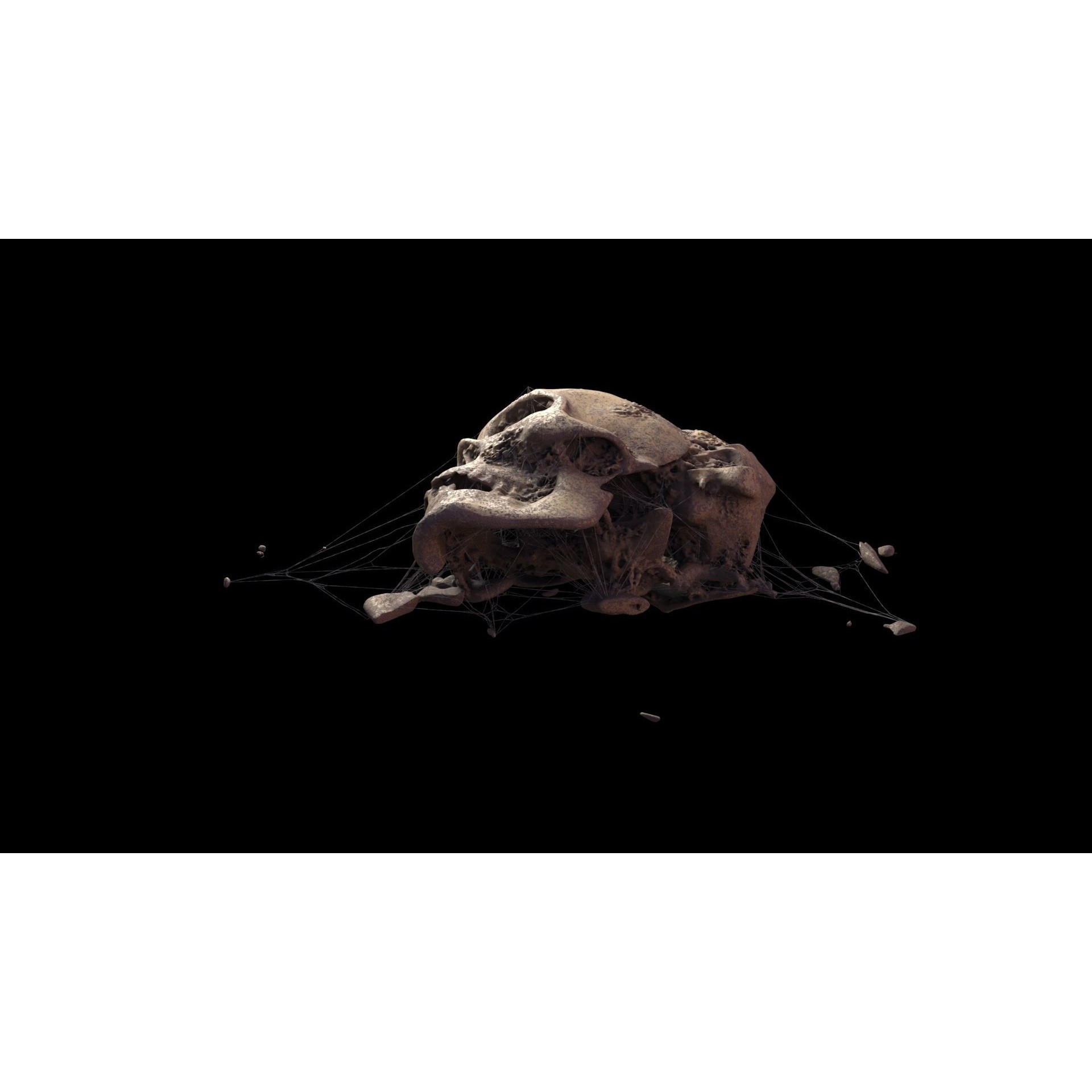 Broken Skulls with Spider Webs - Game-Ready 3D Model - View 19