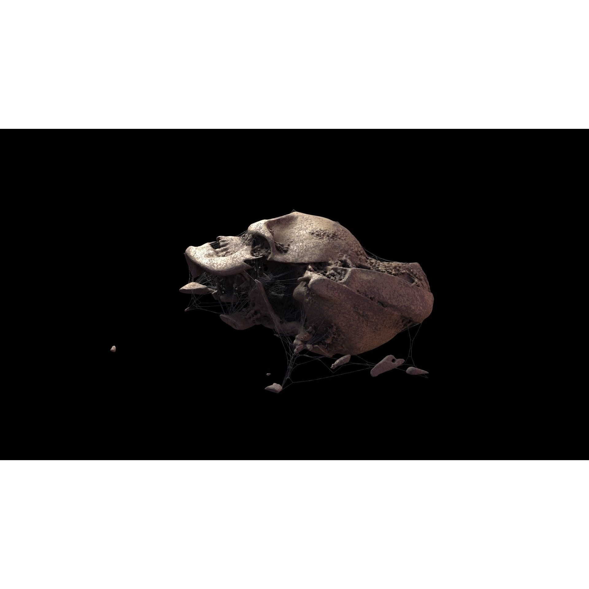 Broken Skulls with Spider Webs - Game-Ready 3D Model - View 20