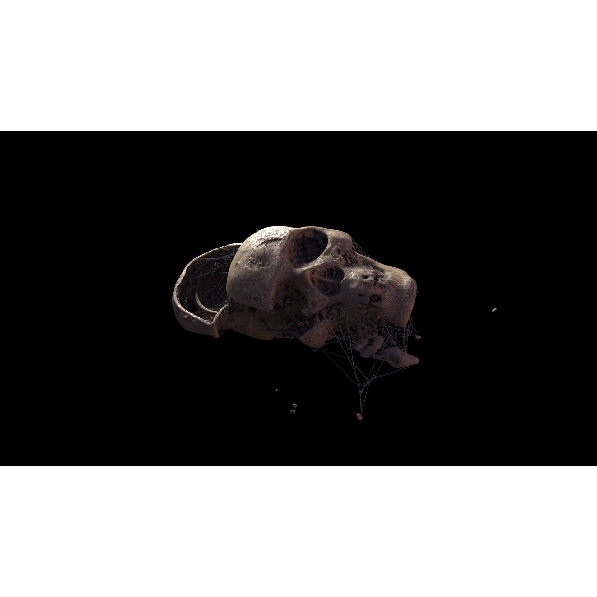 Broken Skulls with Spider Webs - Game-Ready 3D Model - View 21