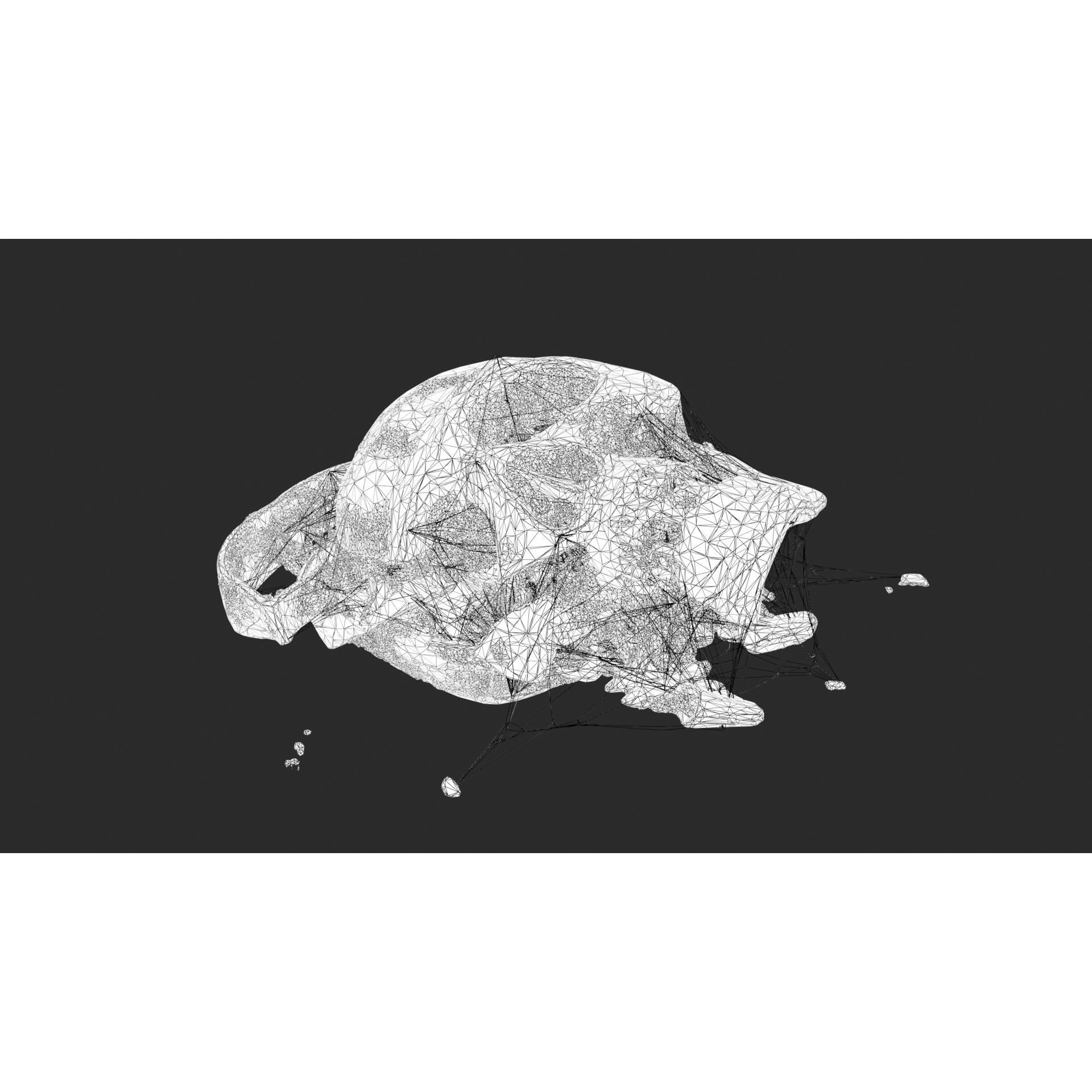 Broken Skulls with Spider Webs - Game-Ready 3D Model - View 24