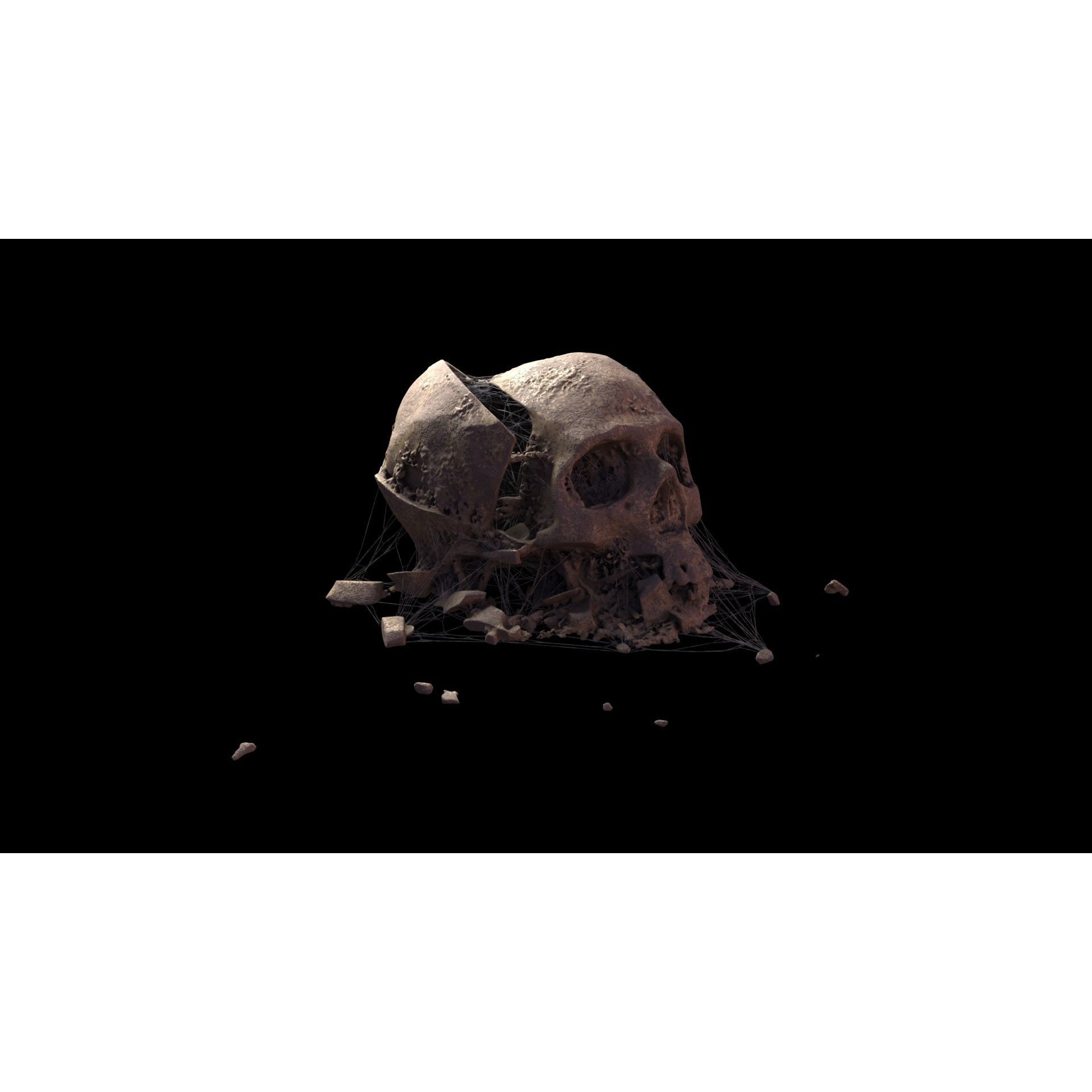 Broken Skulls with Spider Webs - Game-Ready 3D Model - View 25