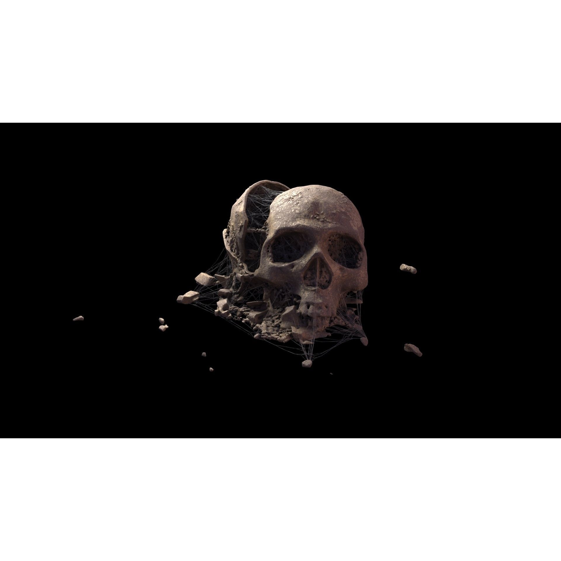 Broken Skulls with Spider Webs - Game-Ready 3D Model - View 27