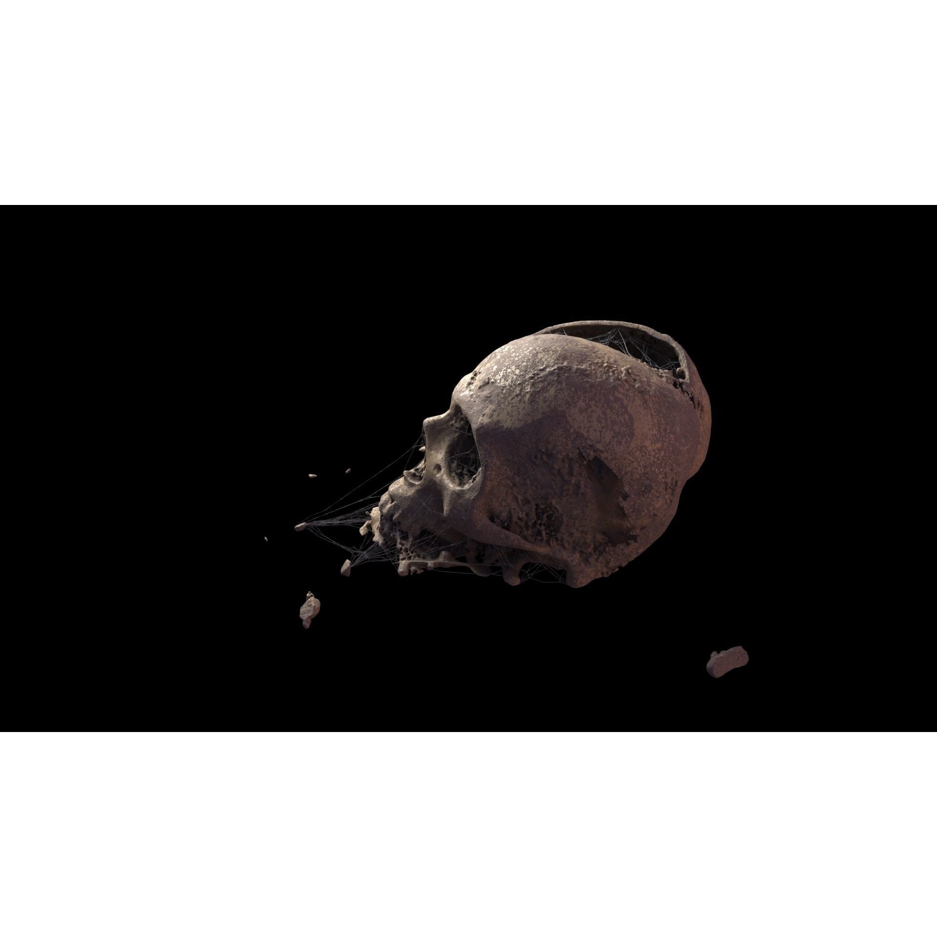 Broken Skulls with Spider Webs - Game-Ready 3D Model - View 28
