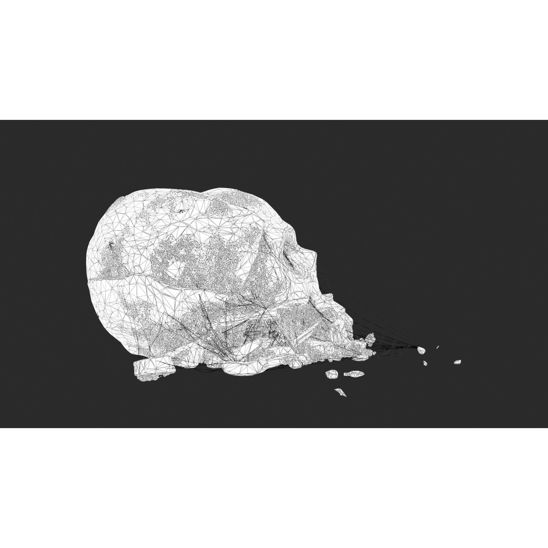 Broken Skulls with Spider Webs - Game-Ready 3D Model - View 30