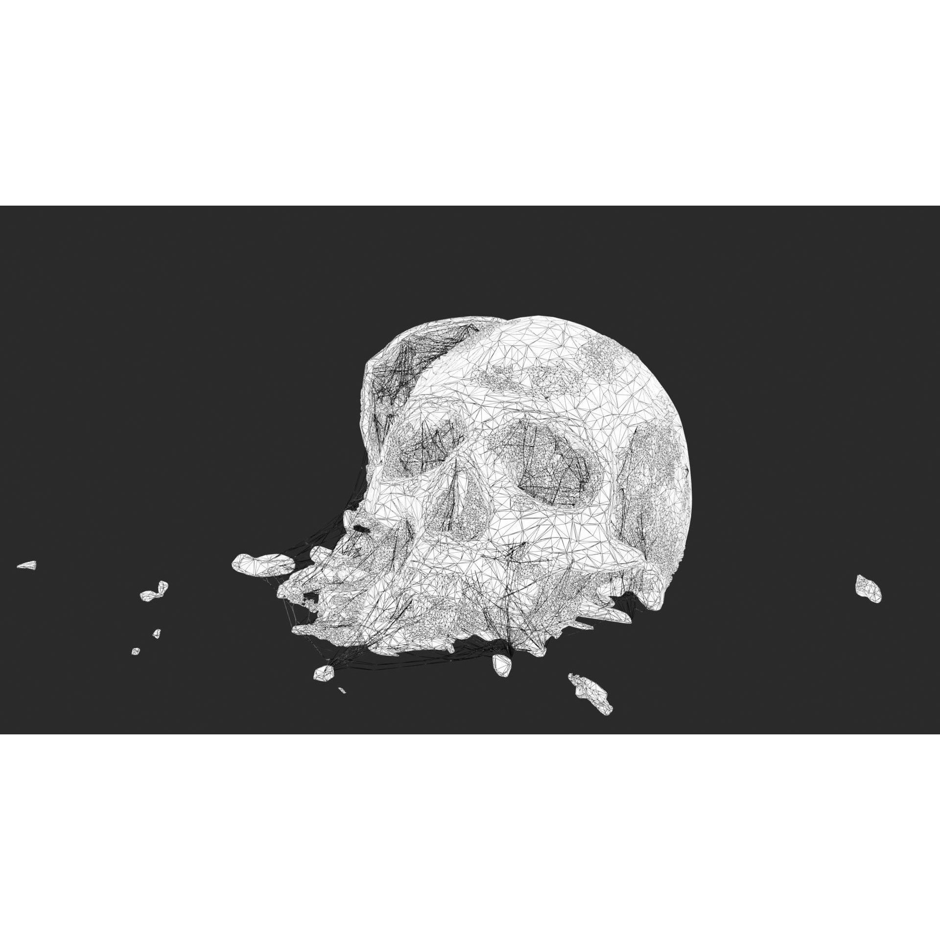 Broken Skulls with Spider Webs - Game-Ready 3D Model - View 31