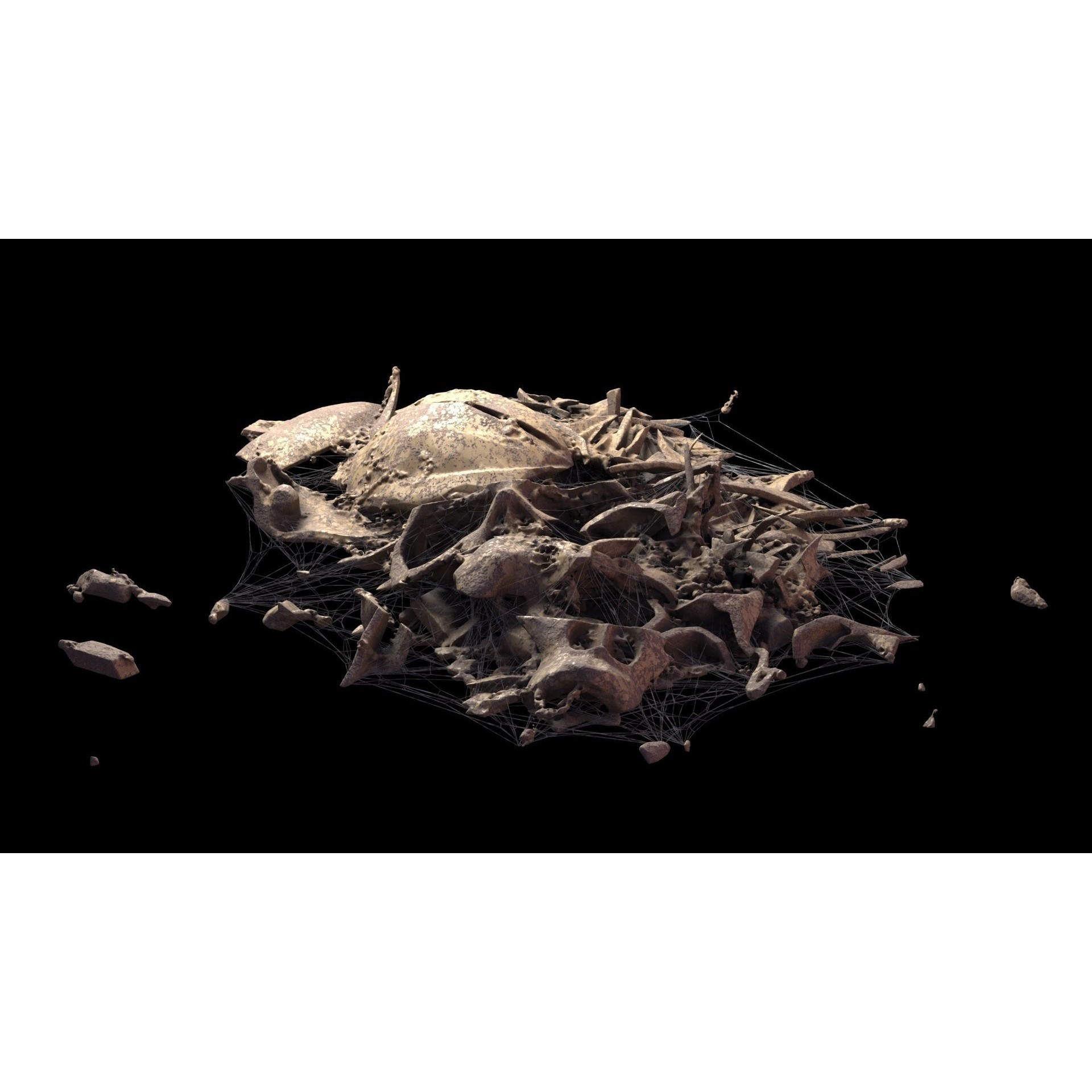 Broken Skulls with Spider Webs - Game-Ready 3D Model - View 34