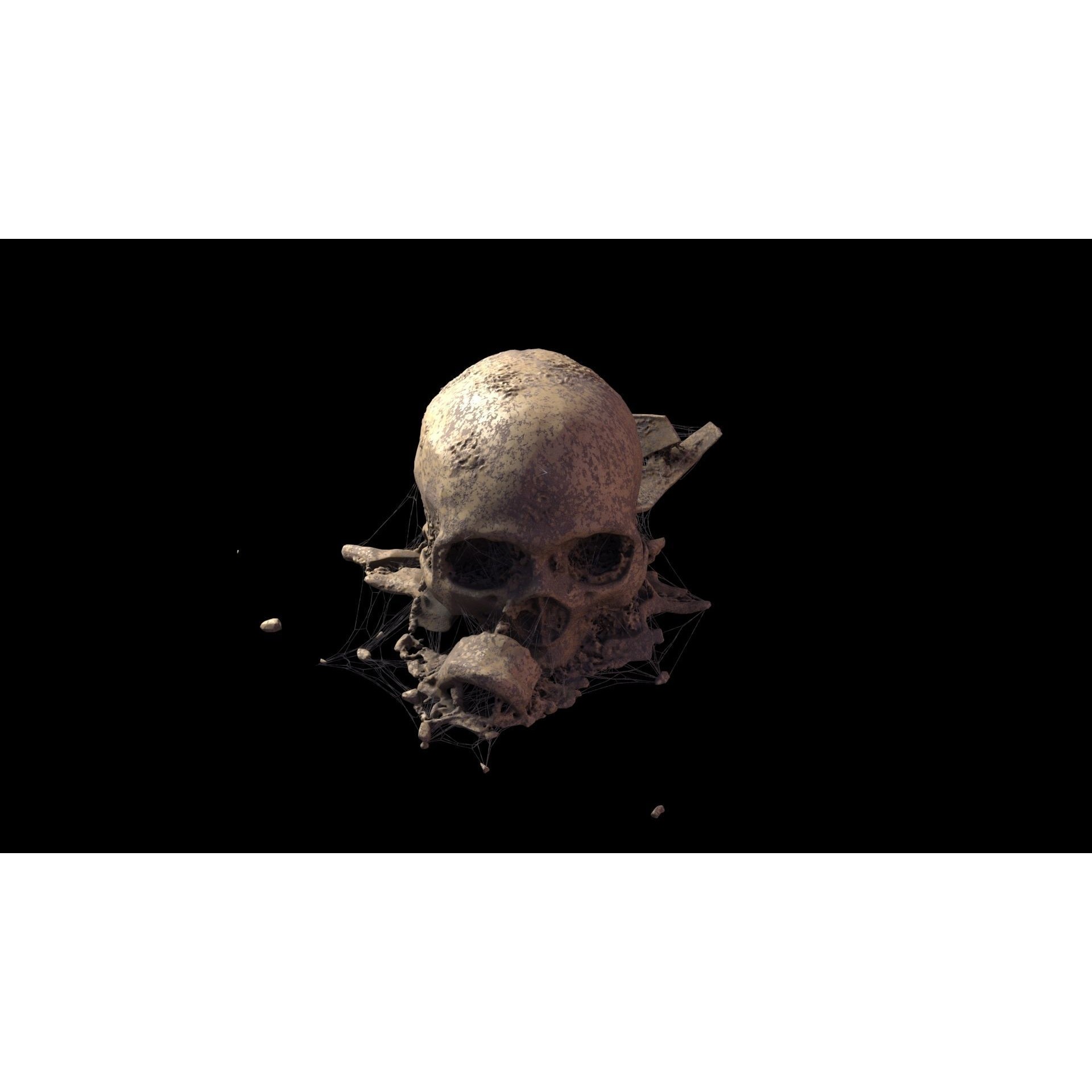 Broken Skulls with Spider Webs - Game-Ready 3D Model - View 39