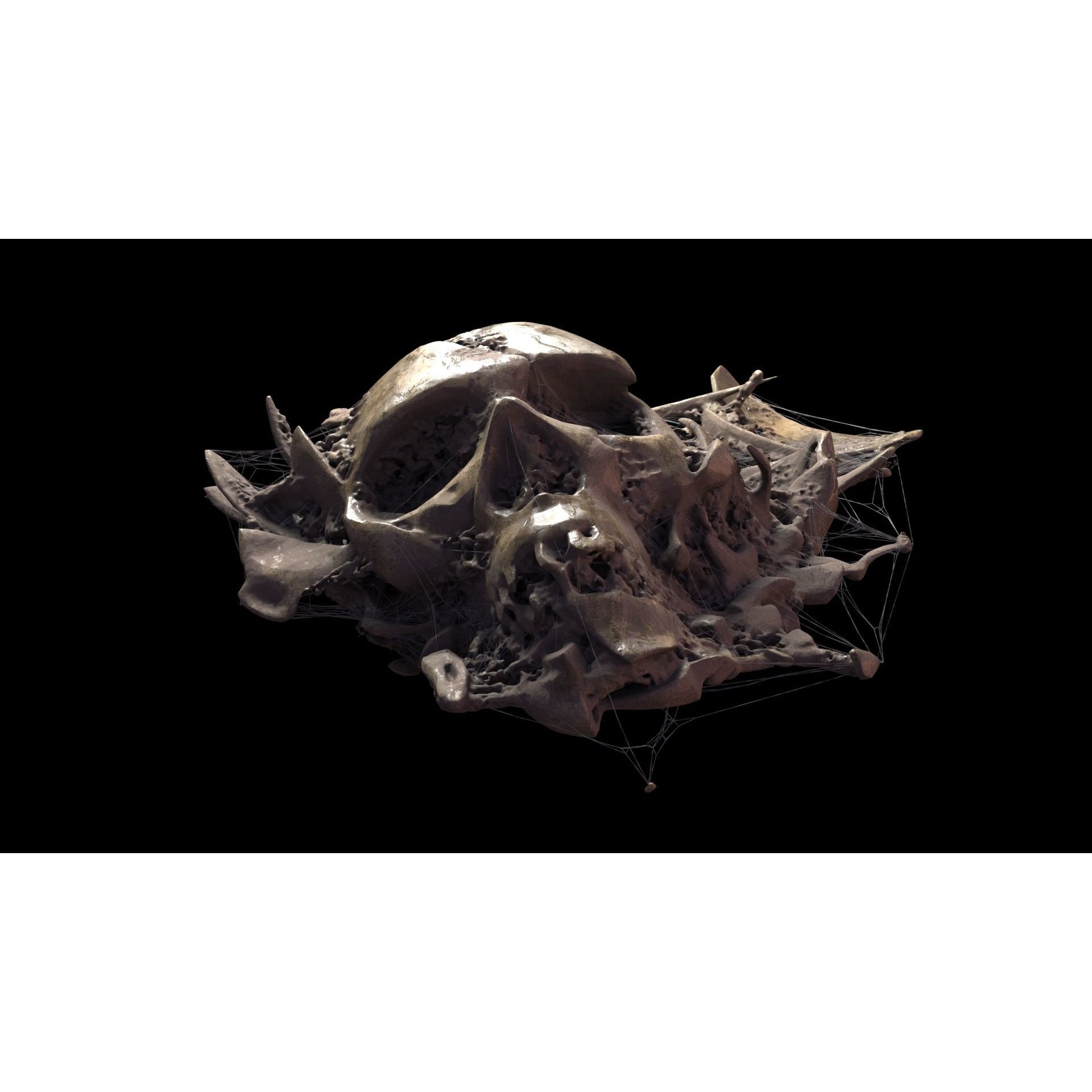 Broken Skulls with Spider Webs - Game-Ready 3D Model - View 4