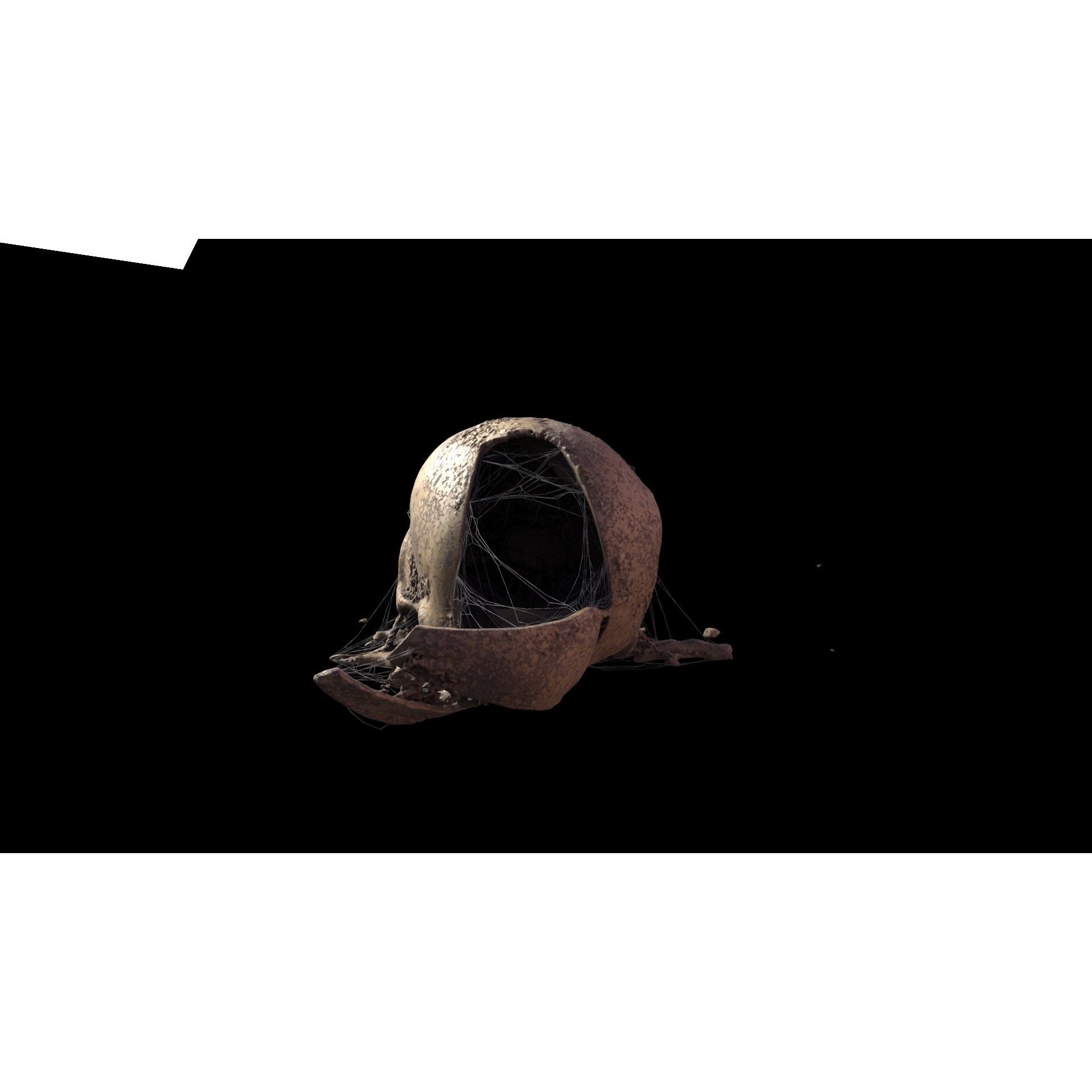 Broken Skulls with Spider Webs - Game-Ready 3D Model - View 40