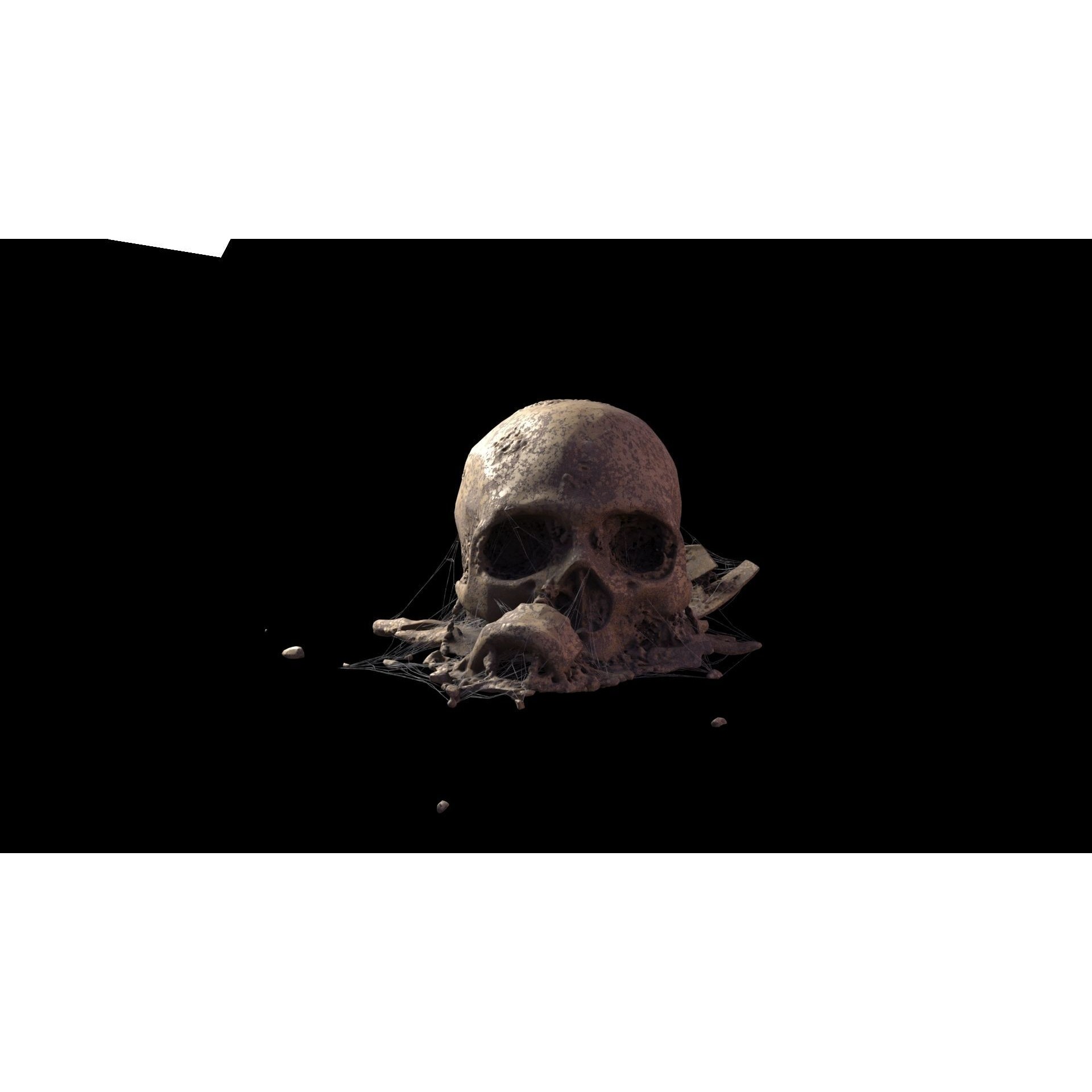 Broken Skulls with Spider Webs - Game-Ready 3D Model - View 41