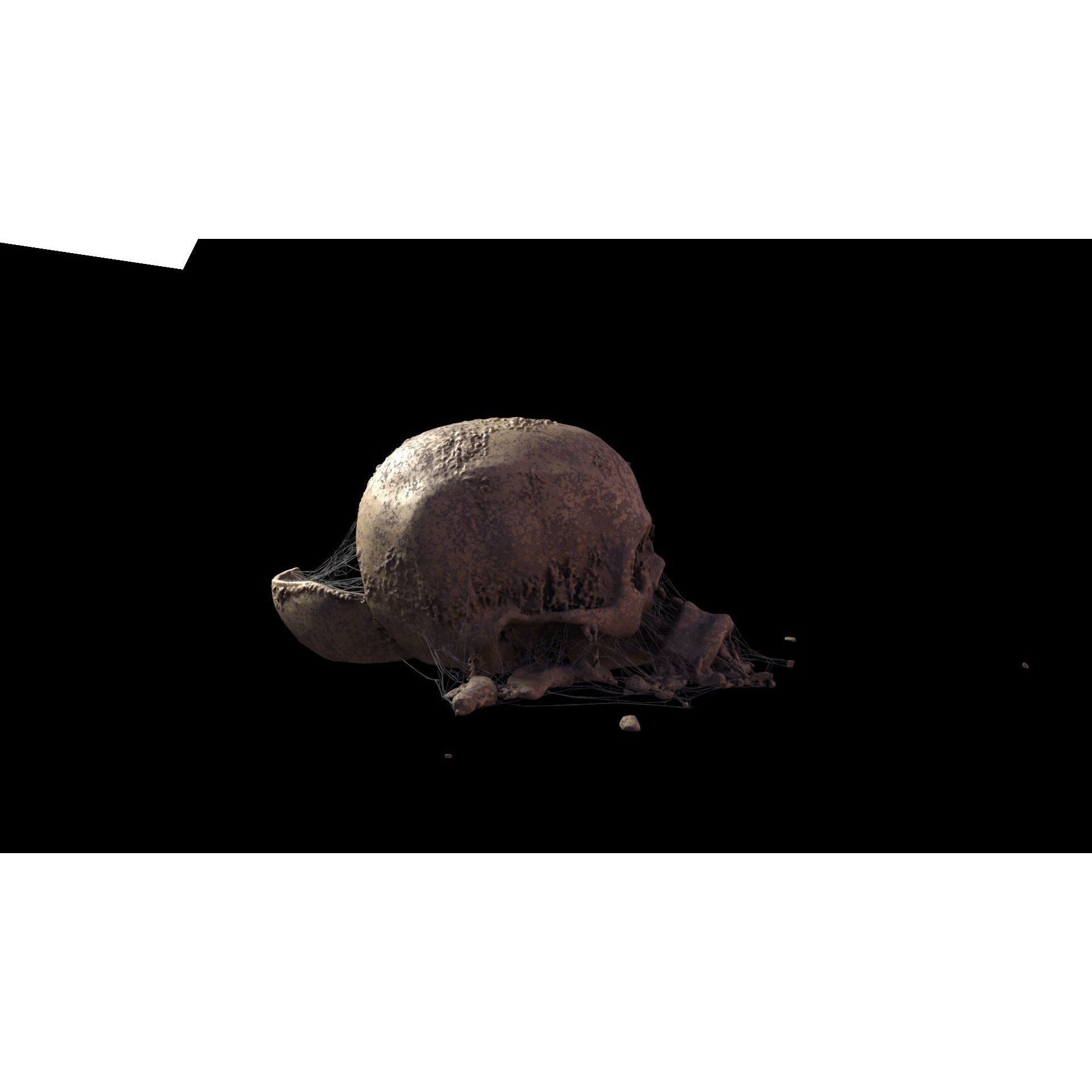 Broken Skulls with Spider Webs - Game-Ready 3D Model - View 42