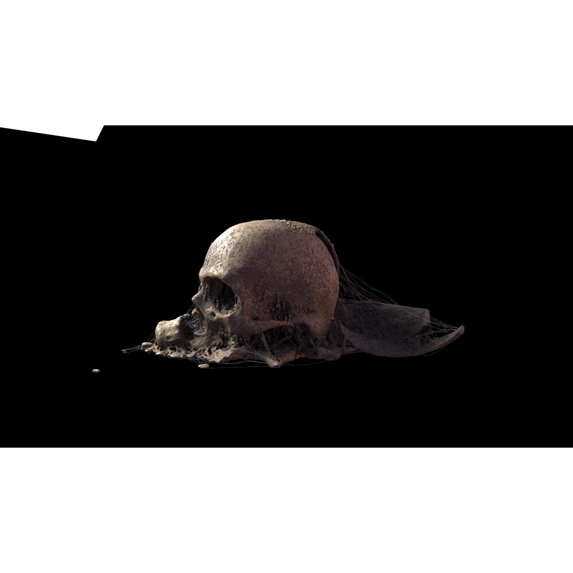Broken Skulls with Spider Webs - Game-Ready 3D Model - View 43