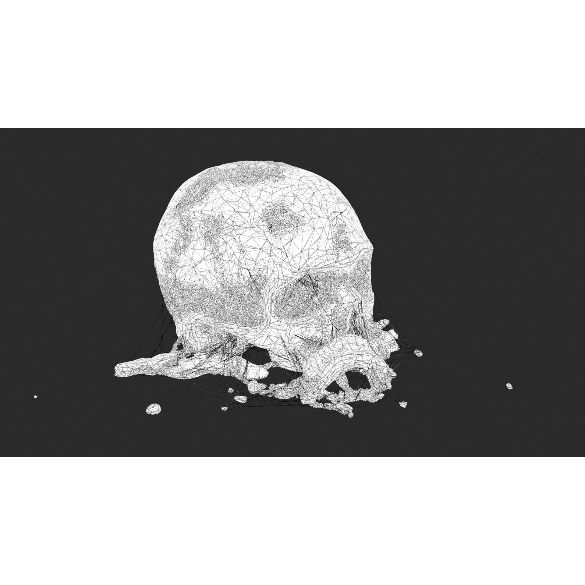 Broken Skulls with Spider Webs - Game-Ready 3D Model - View 44
