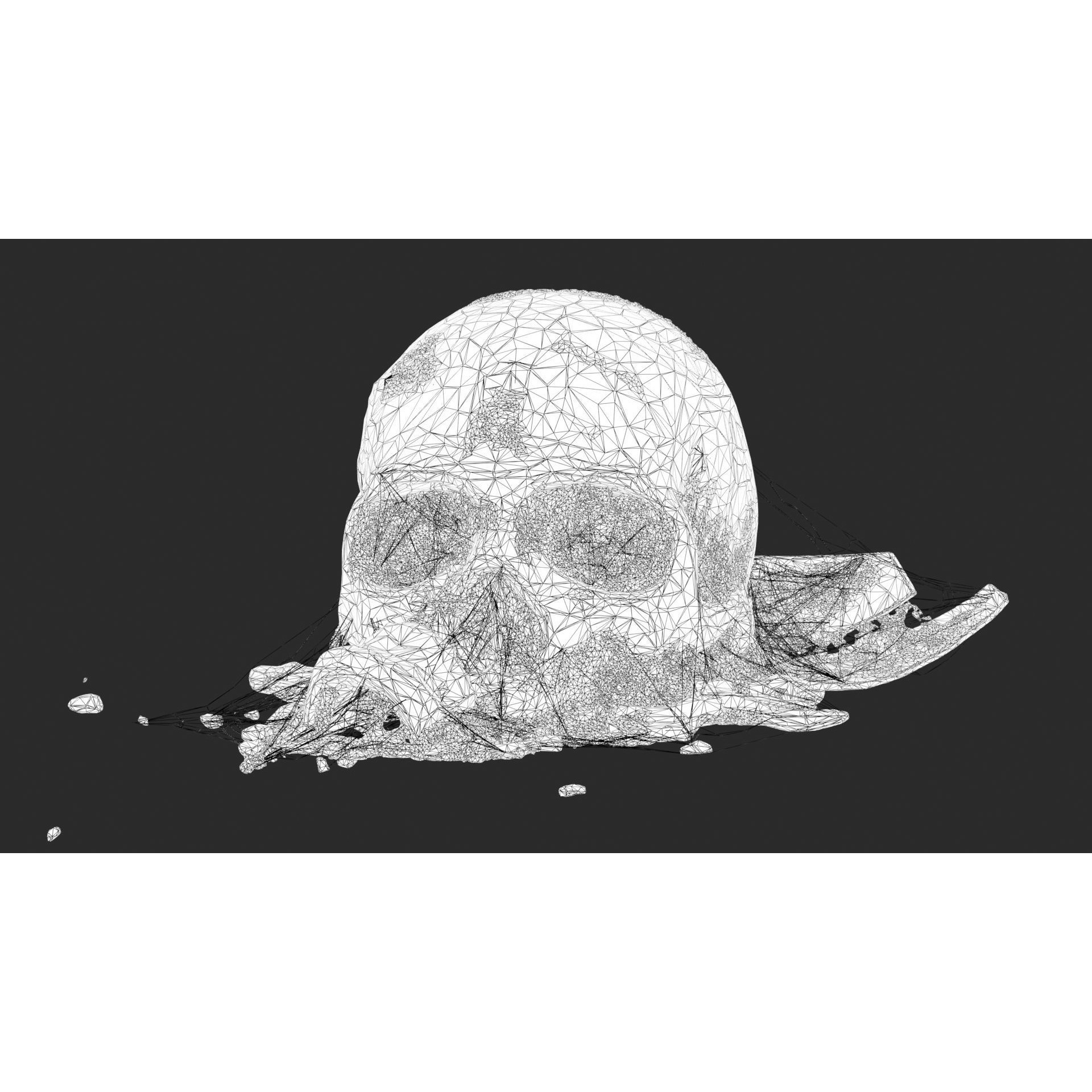 Broken Skulls with Spider Webs - Game-Ready 3D Model - View 45