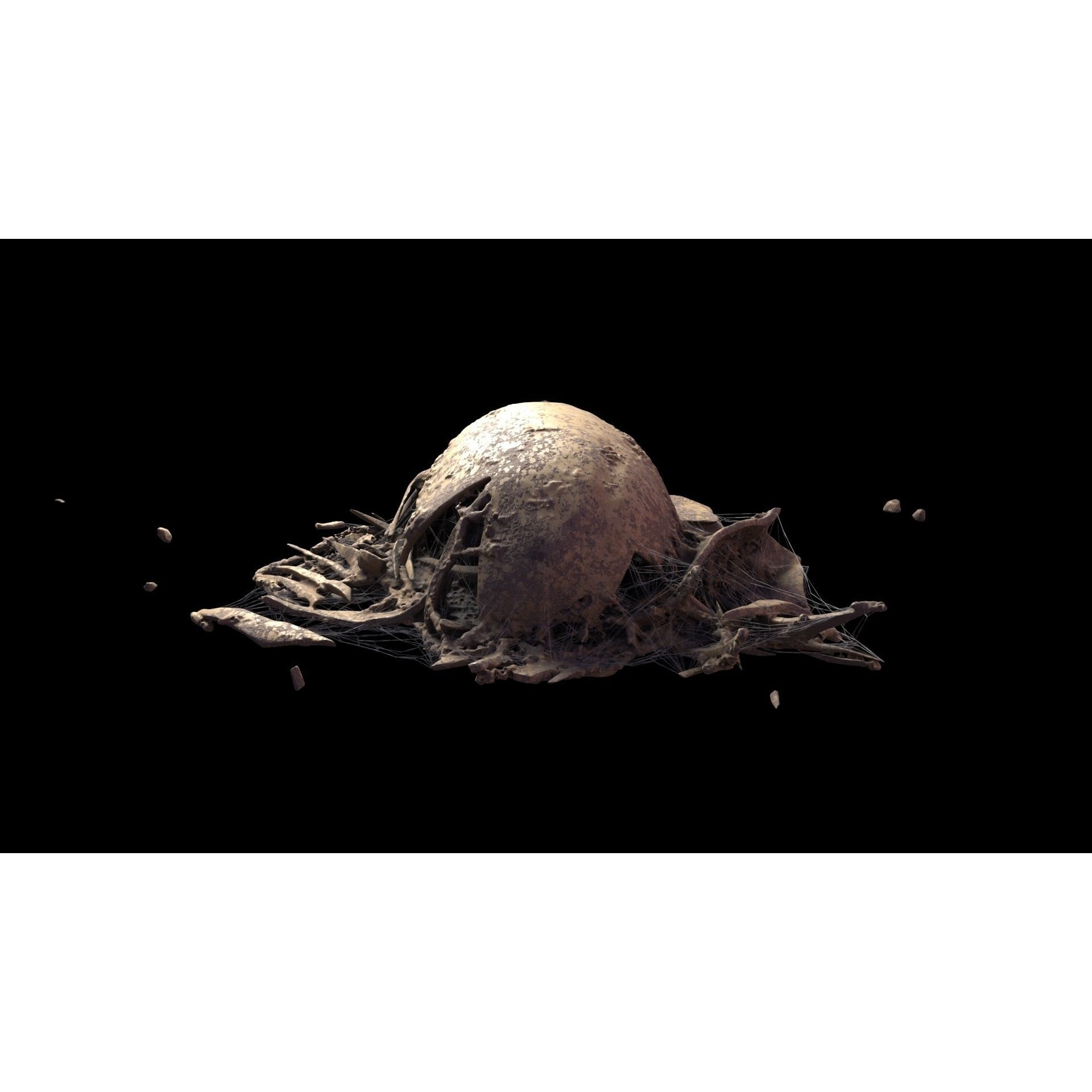 Broken Skulls with Spider Webs - Game-Ready 3D Model - View 47