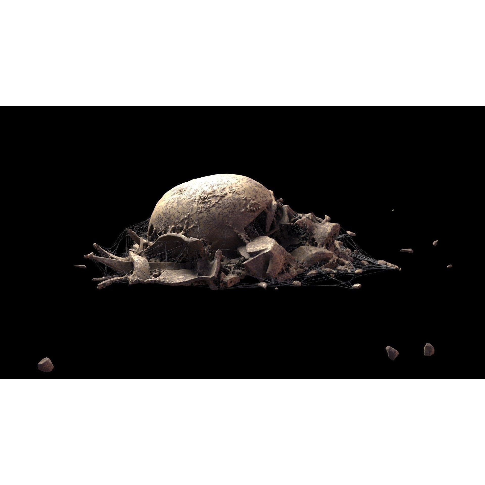 Broken Skulls with Spider Webs - Game-Ready 3D Model - View 48