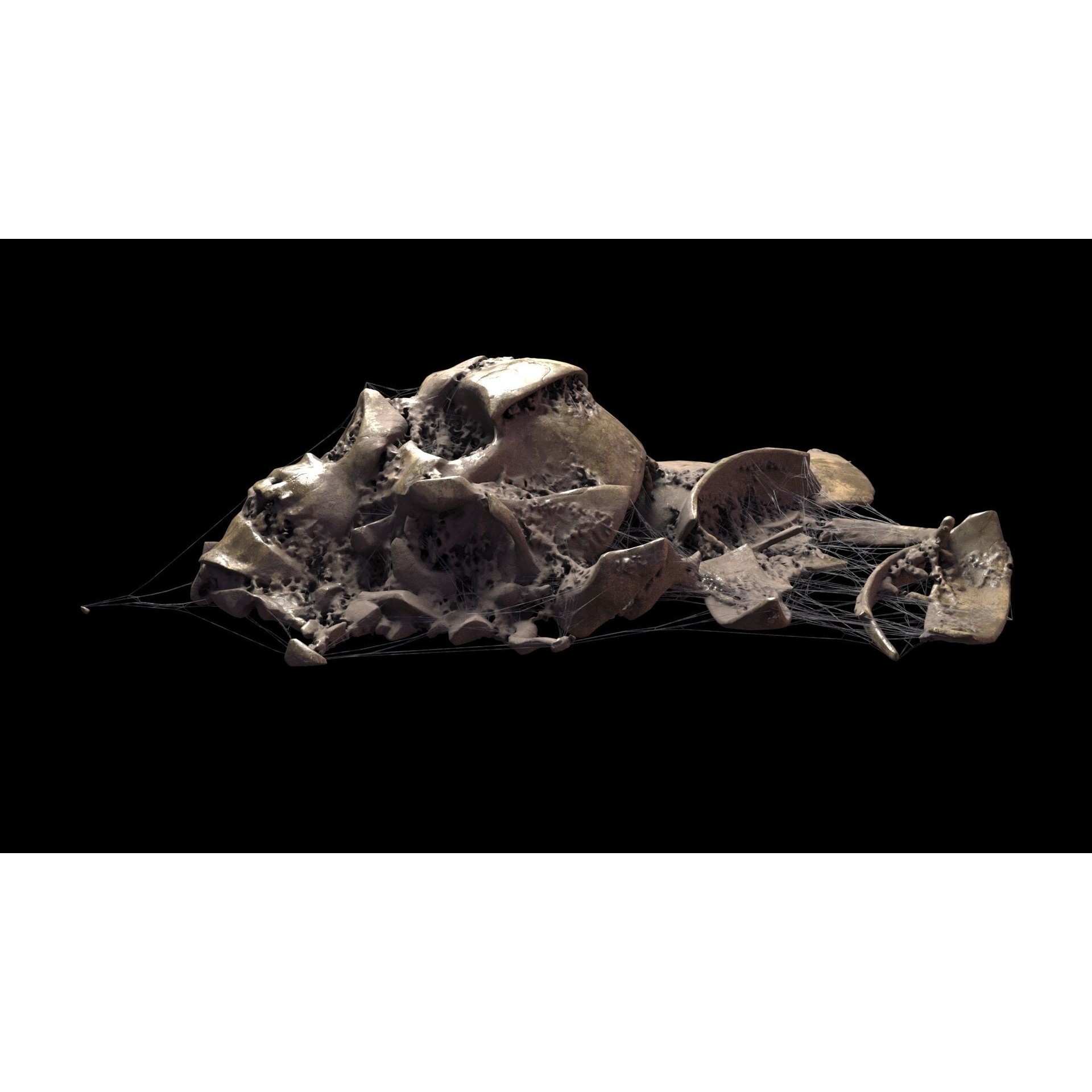 Broken Skulls with Spider Webs - Game-Ready 3D Model - View 5