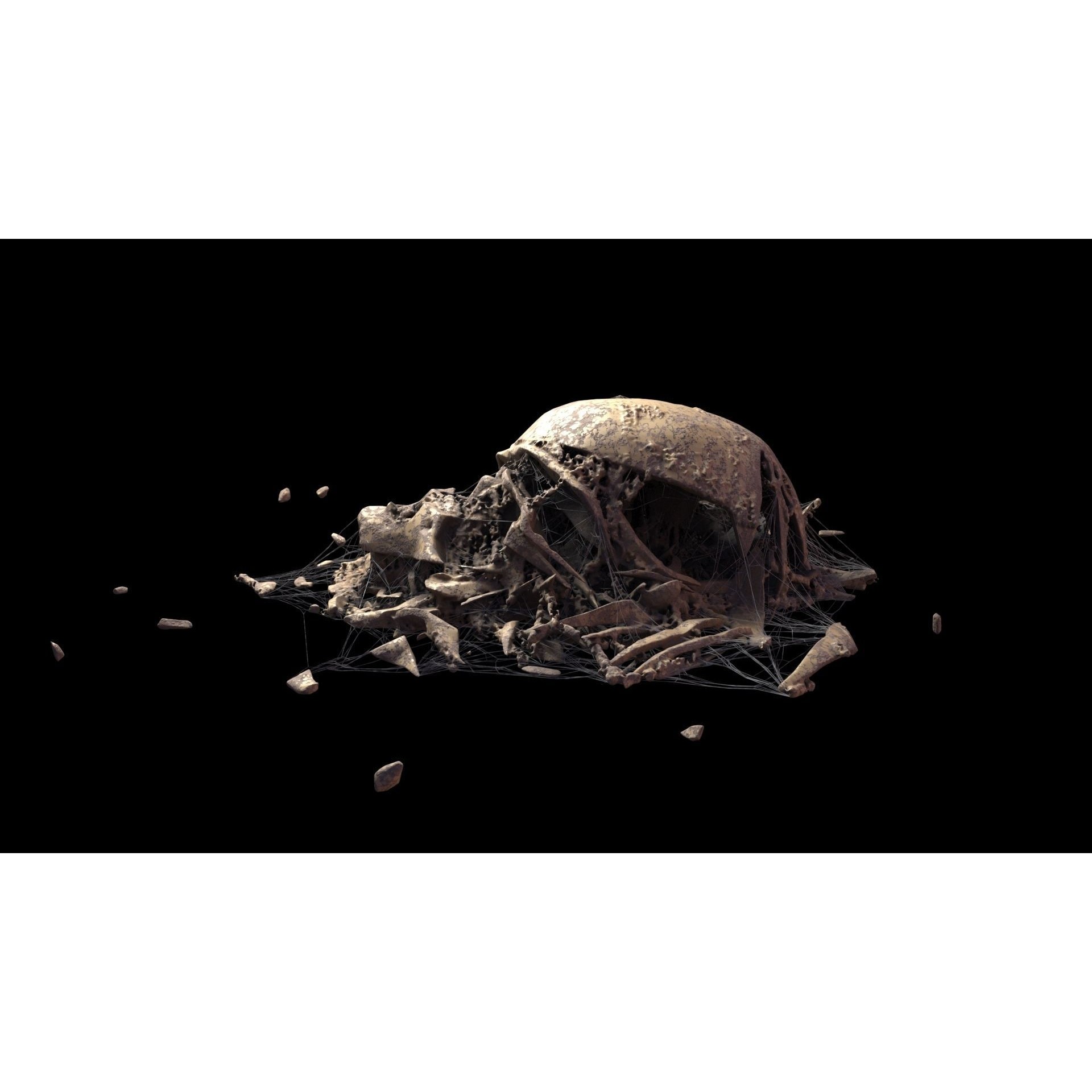Broken Skulls with Spider Webs - Game-Ready 3D Model - View 50