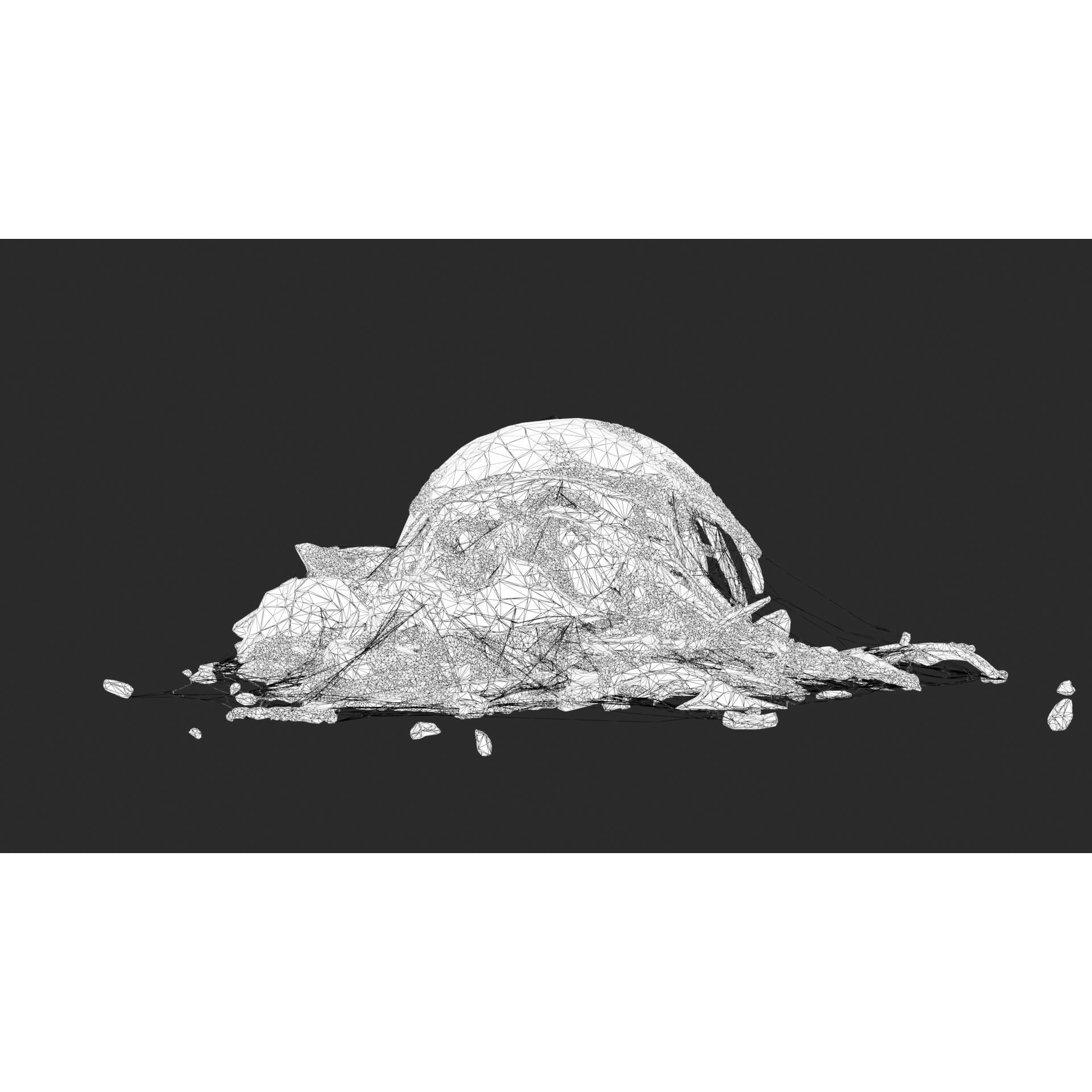 Broken Skulls with Spider Webs - Game-Ready 3D Model - View 51