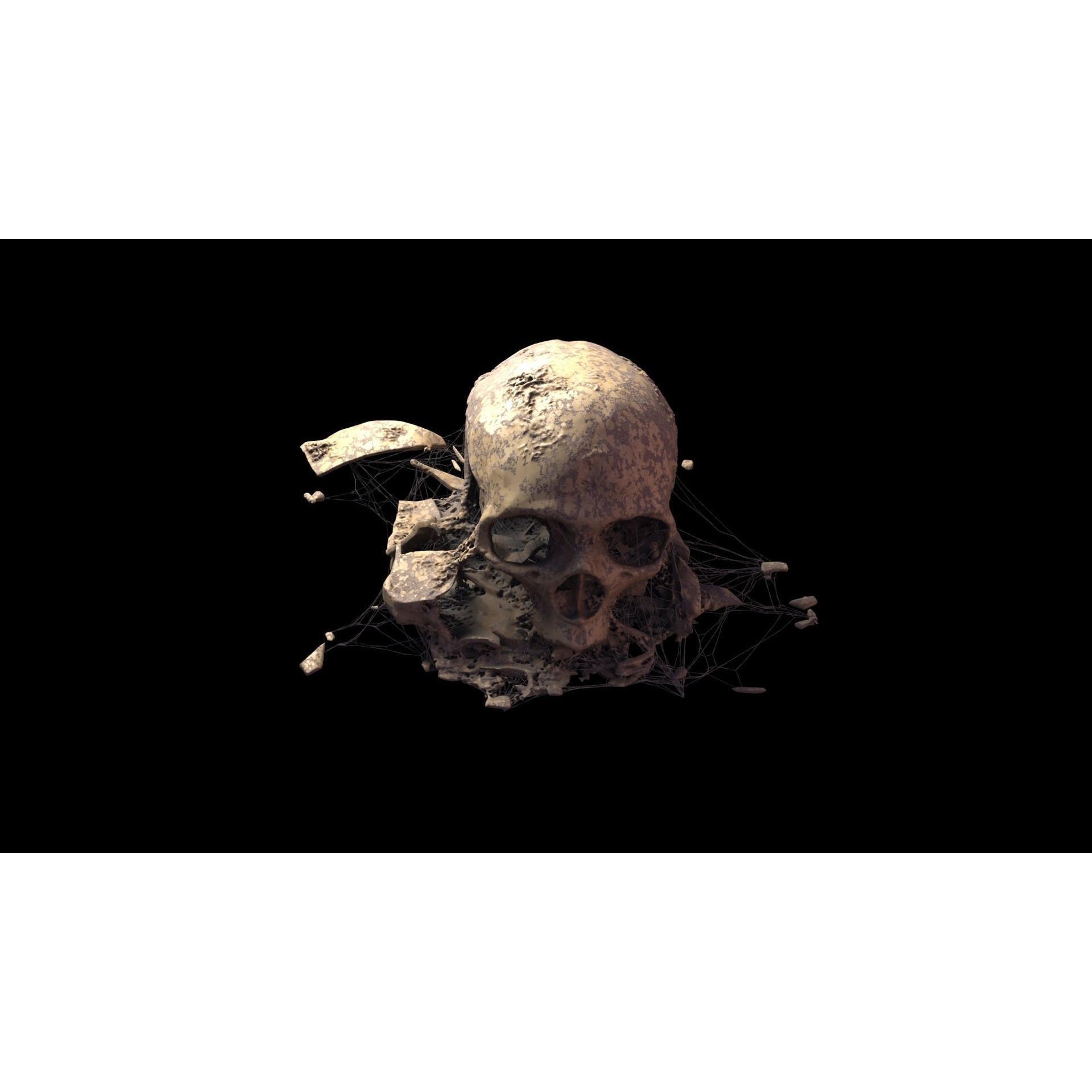 Broken Skulls with Spider Webs - Game-Ready 3D Model - View 52